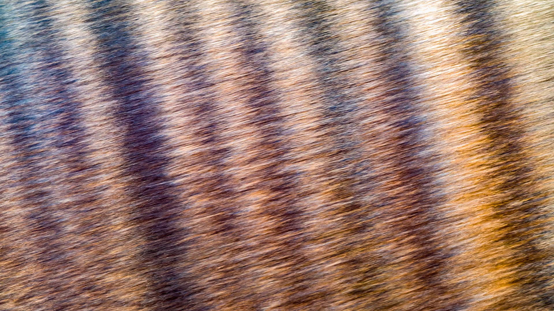 Brown striped rippled water surface