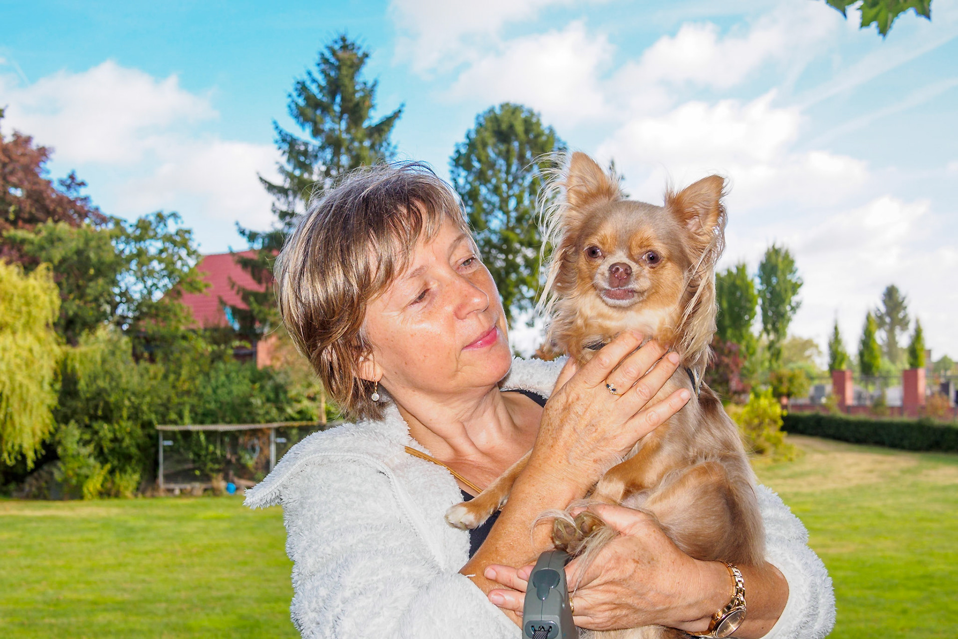 Friendly Lady with mopy Chihuahua II