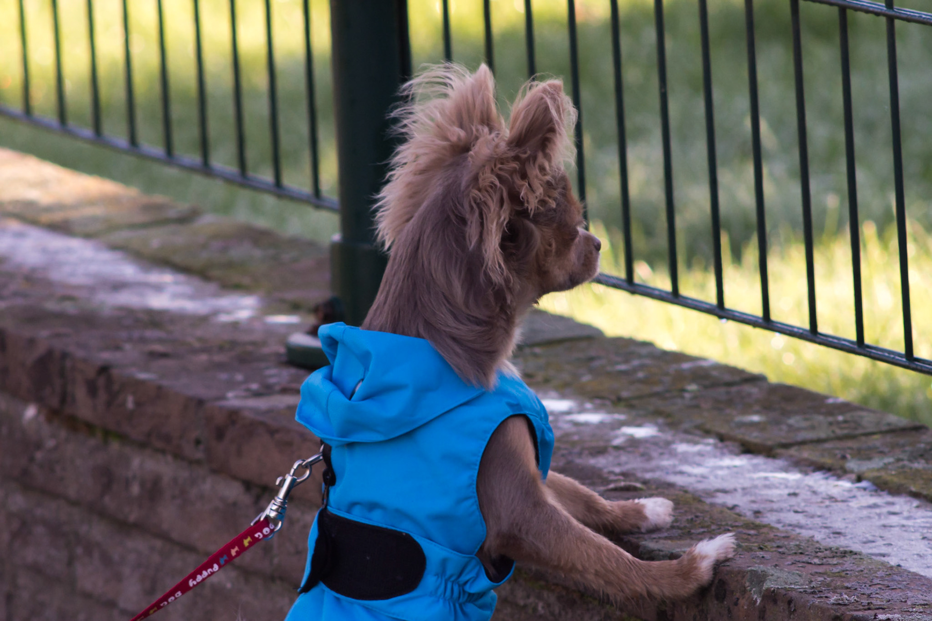 Are you home my friend?