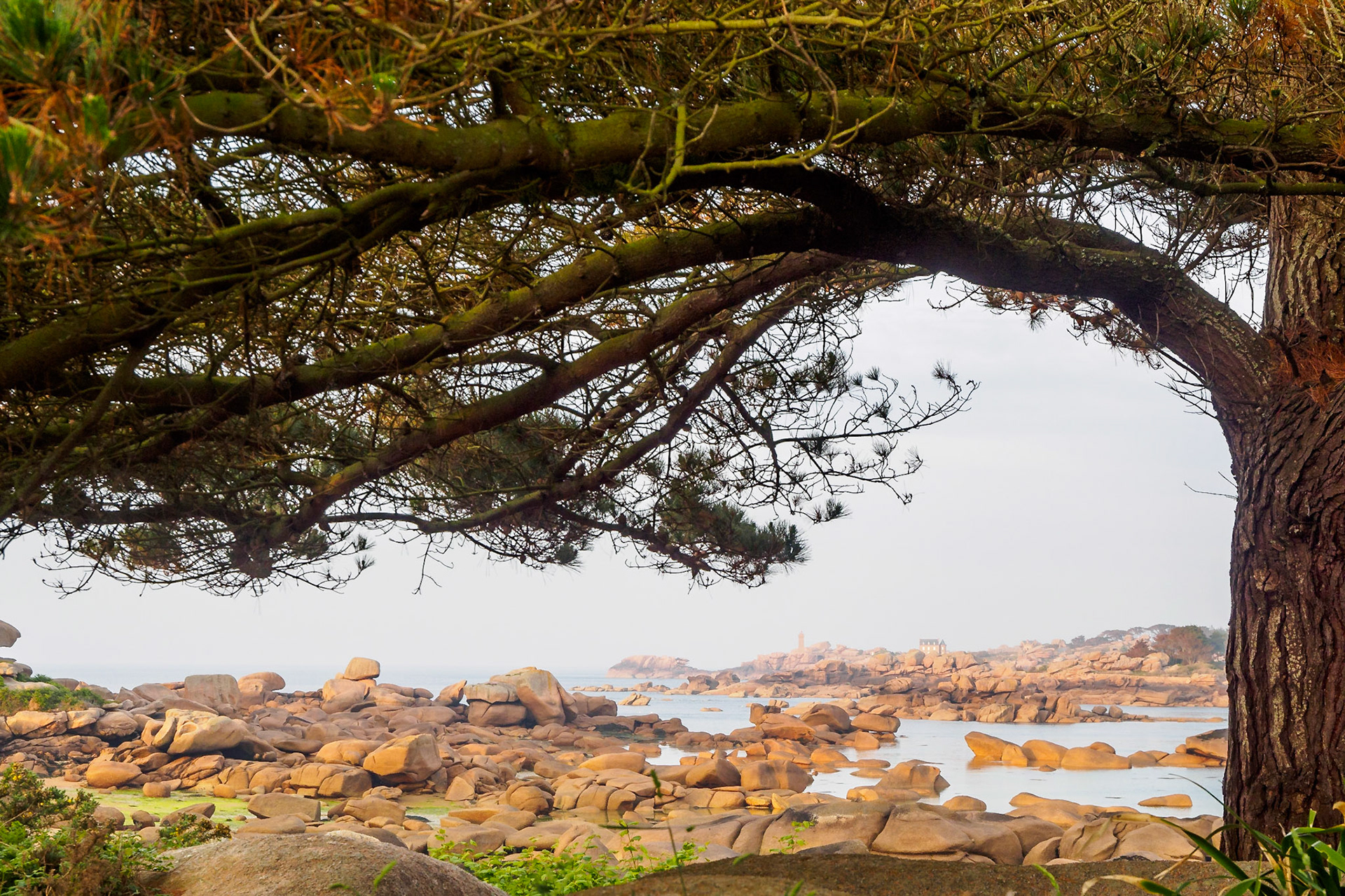 Distant Mean Ruz VIII