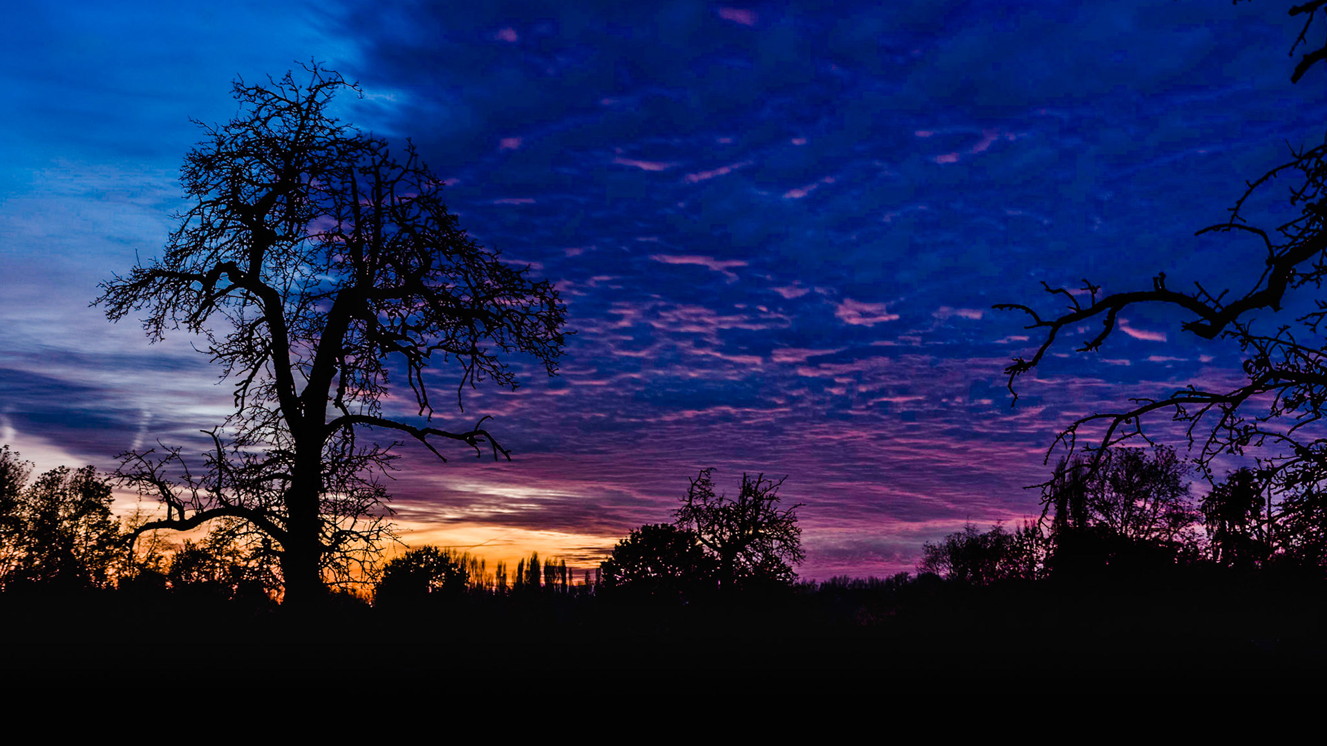Silhouettes against the evening sky VI