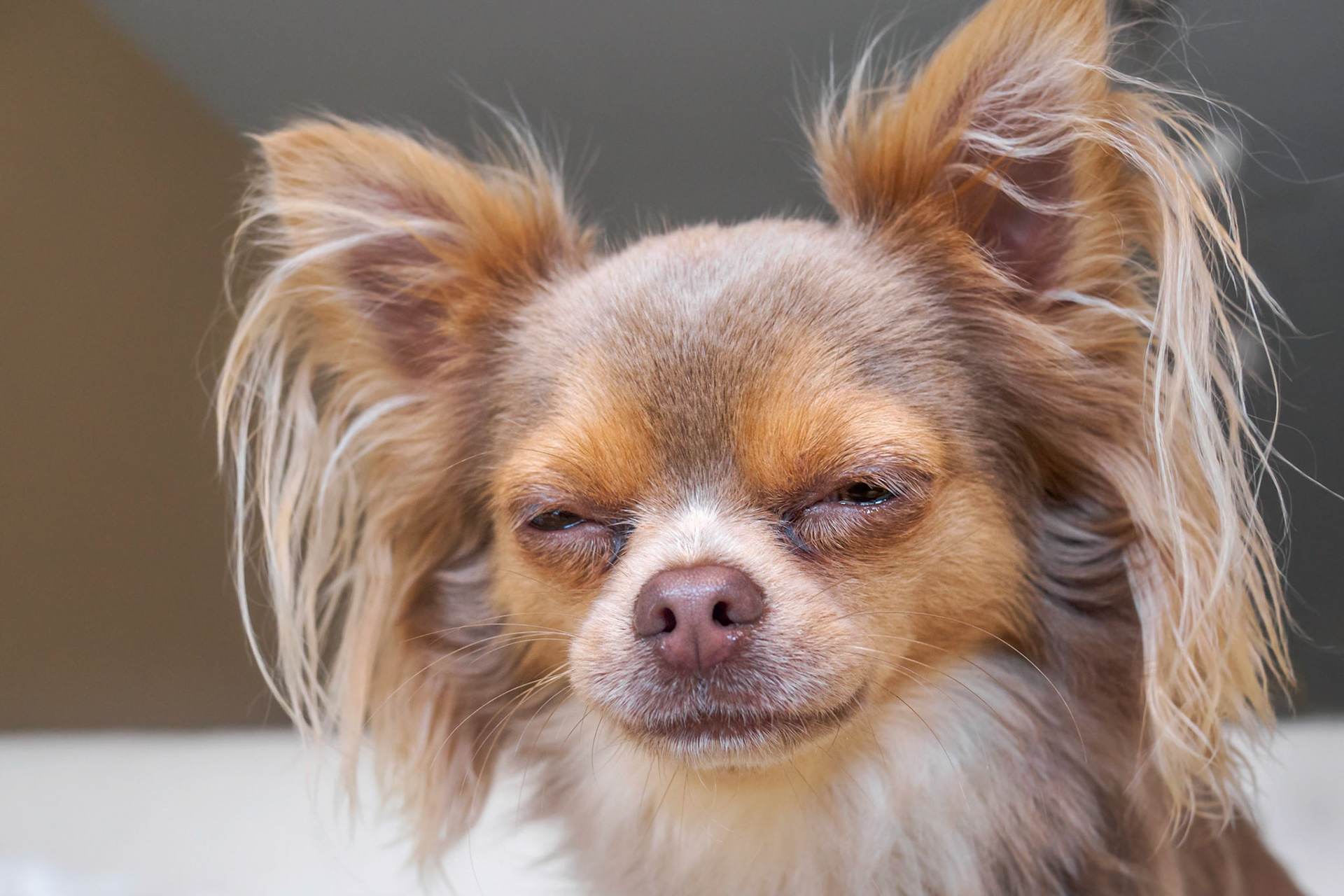 Is it time to sleep yet?