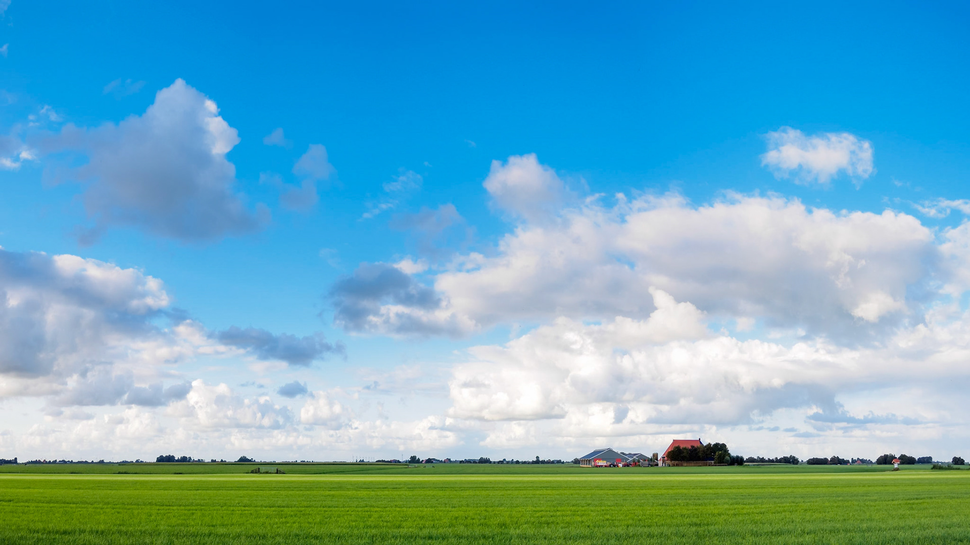 Grassy flatscape under a clouded blue sky