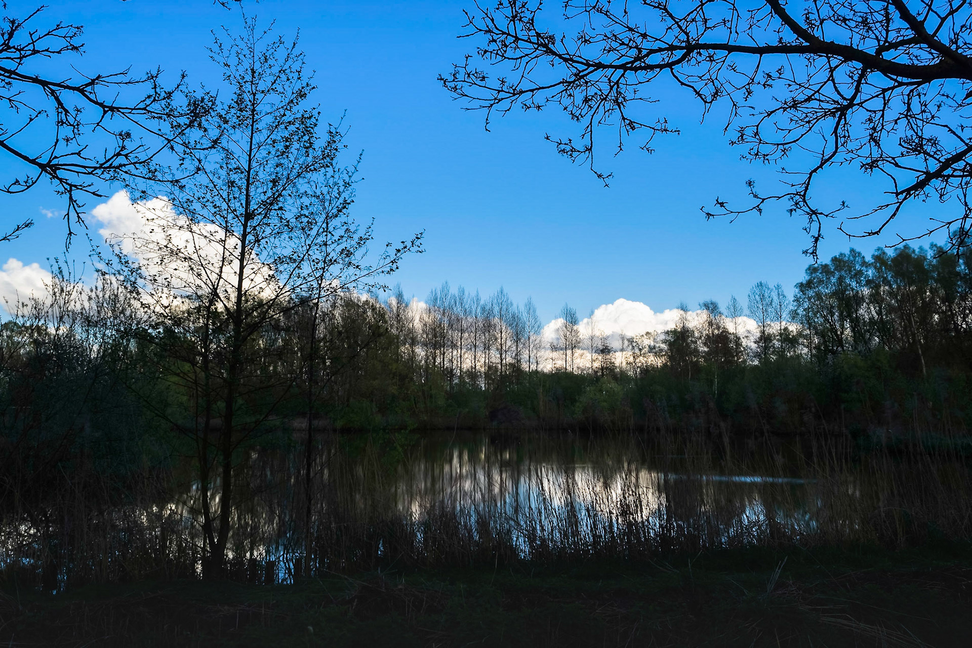 A cold spring evening, dark silhouettes of trees and grass, a clear blue sky, reflections on the pond.