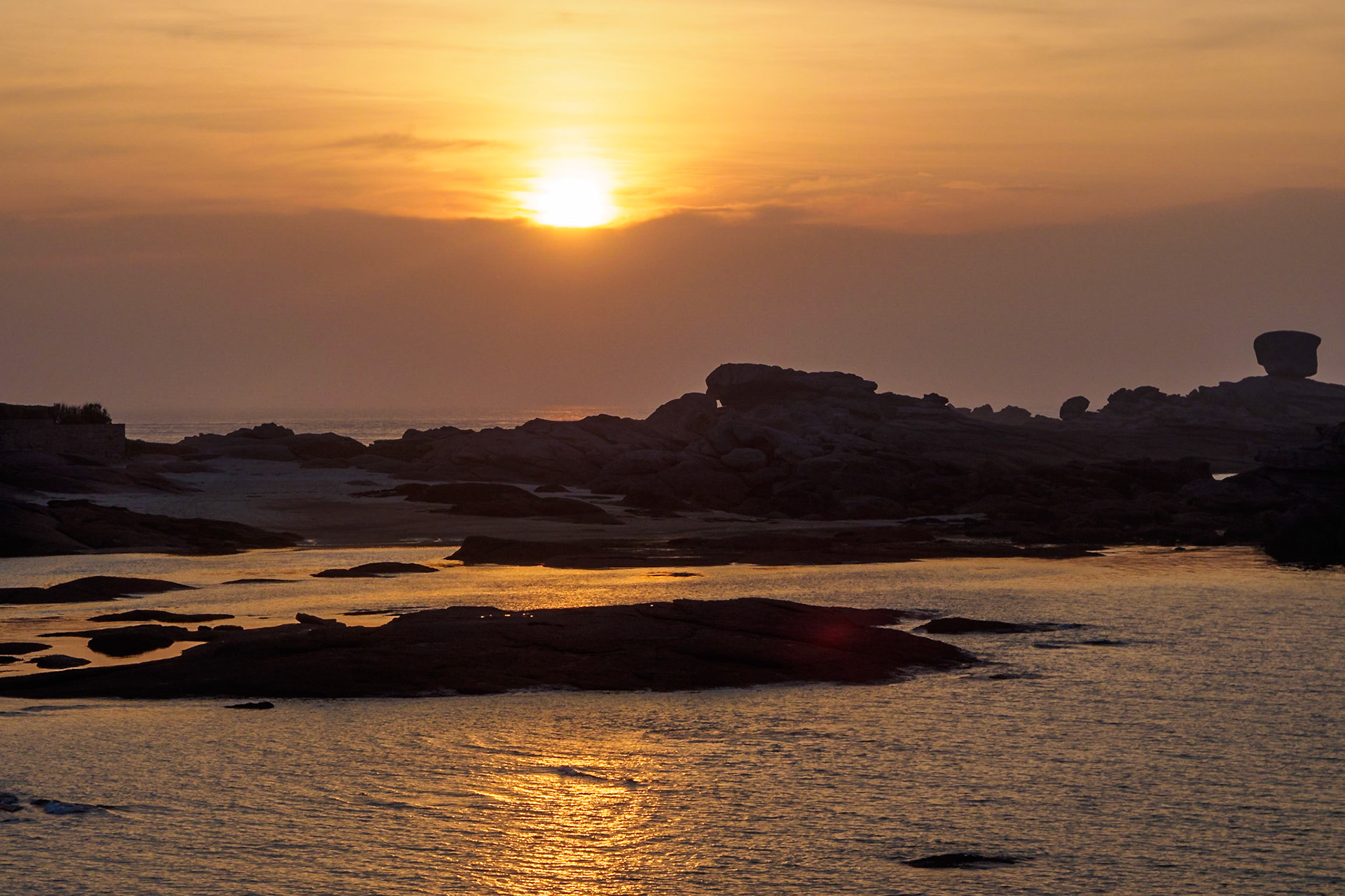 Golden Ile Renote XII