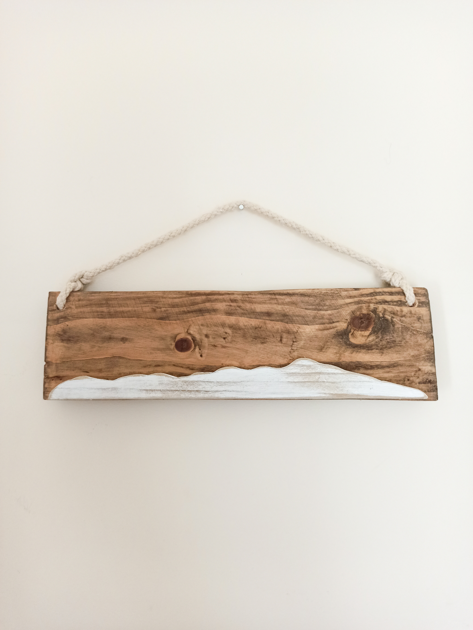 Kapiti Island Mini's - $35