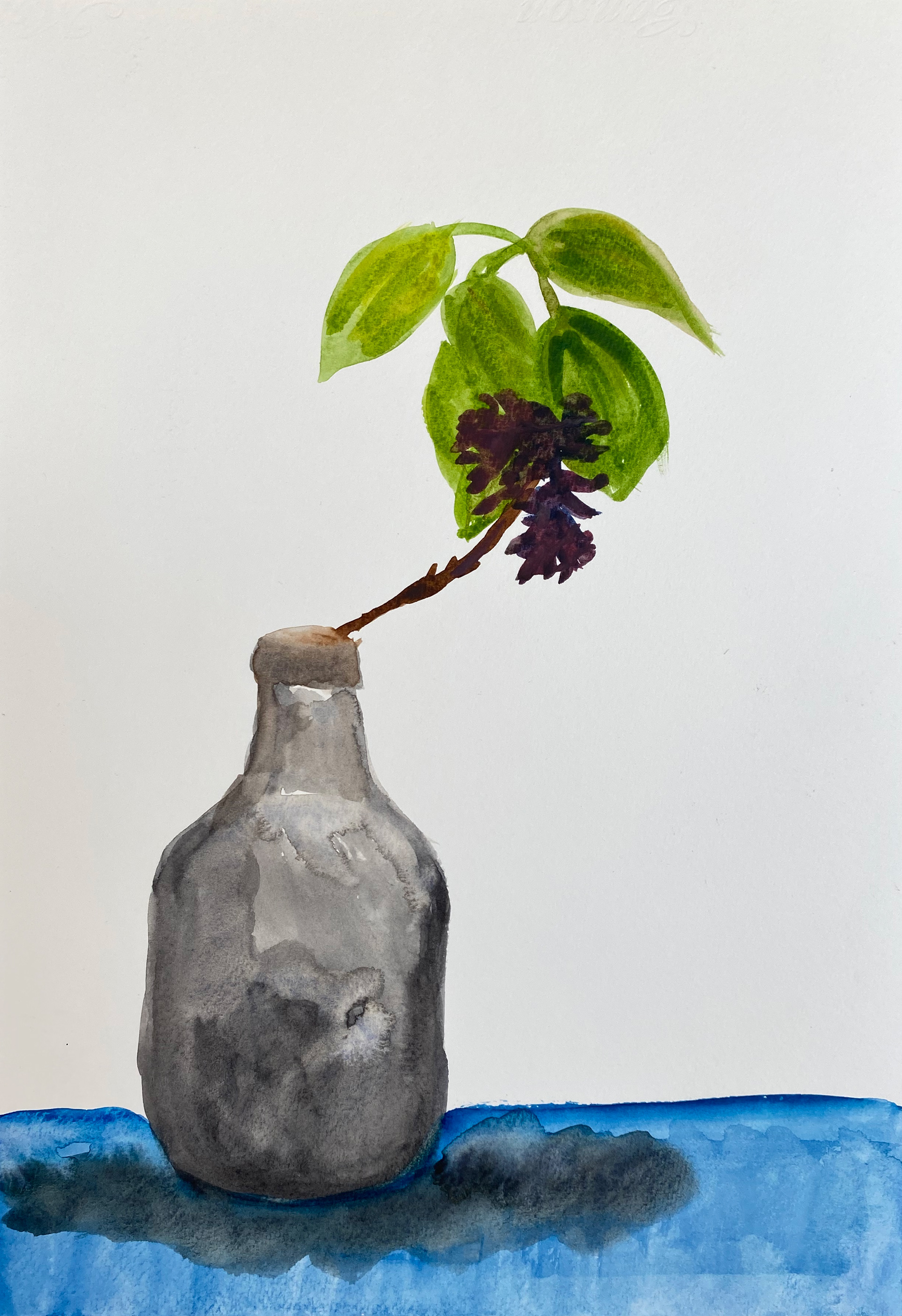 Dorien Dewilde