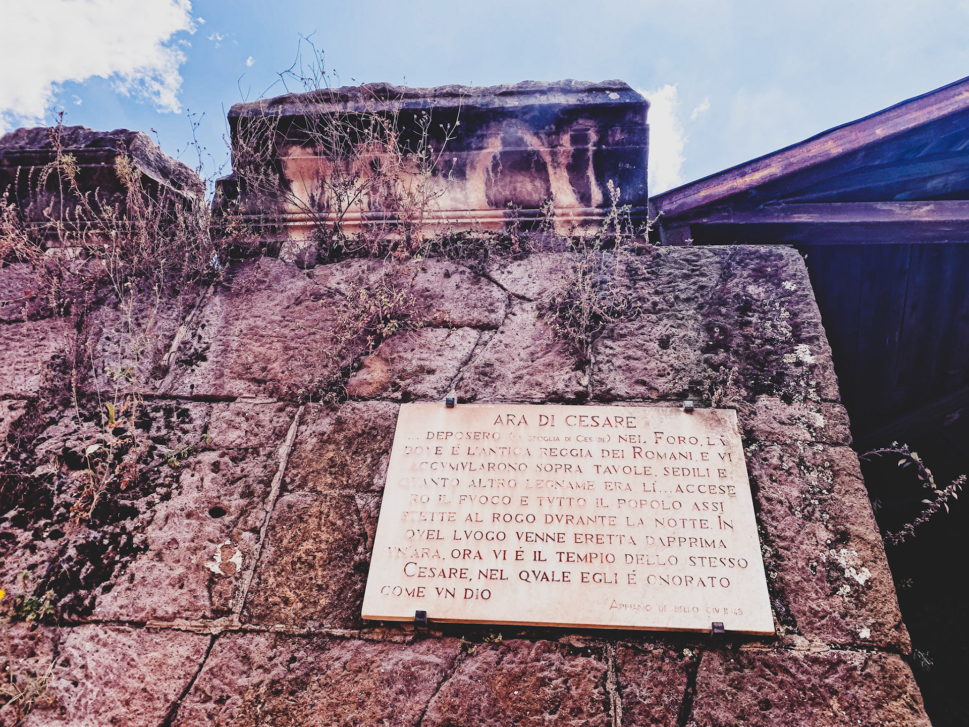 Processed with VSCO with fv5 preset