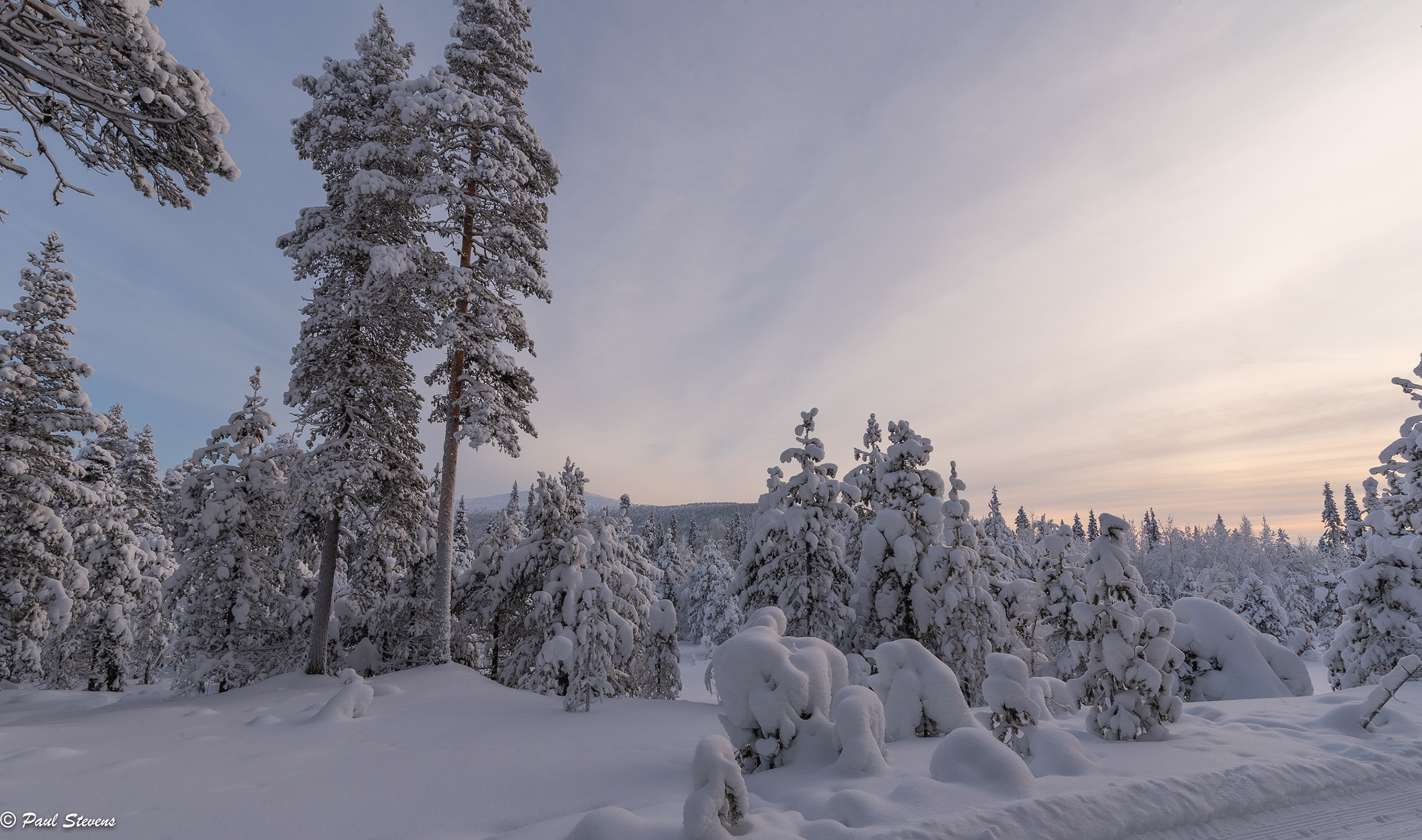 Paul Stevens - FinnPaulPhoto - Pallas-Yllästunturi