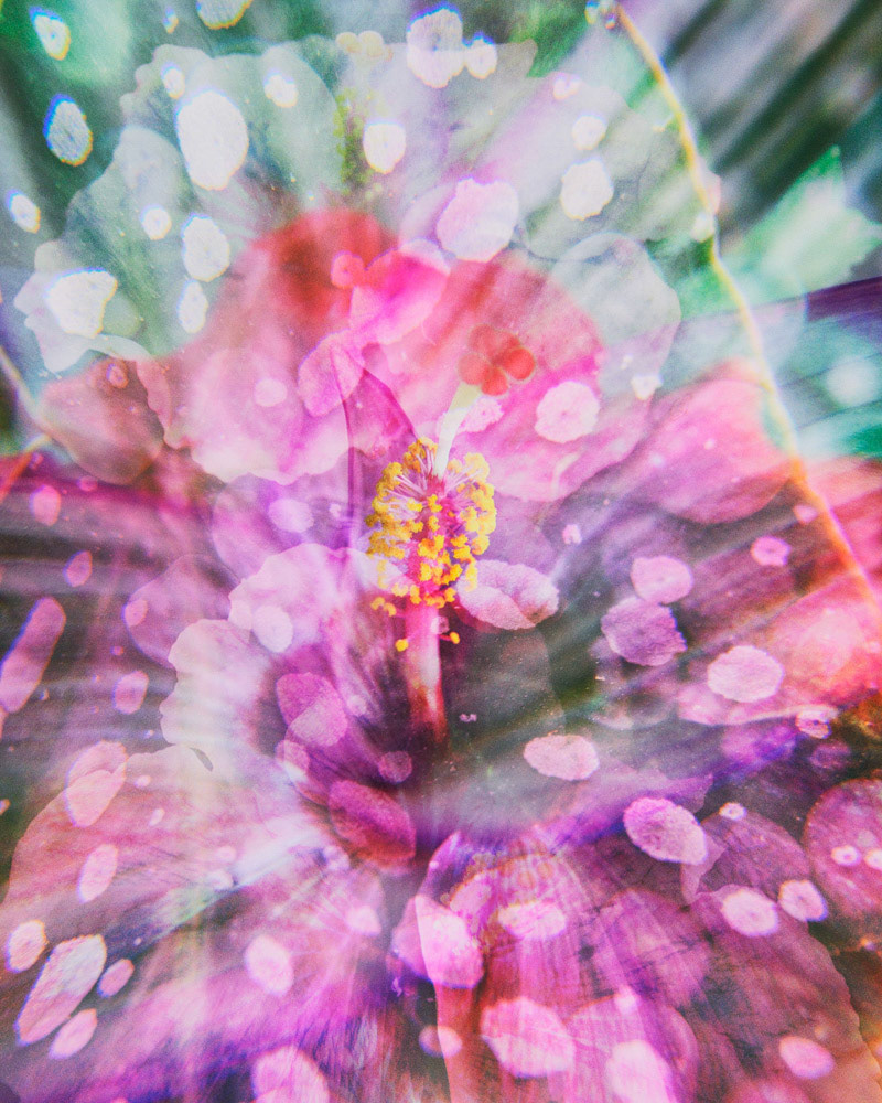 Emerge