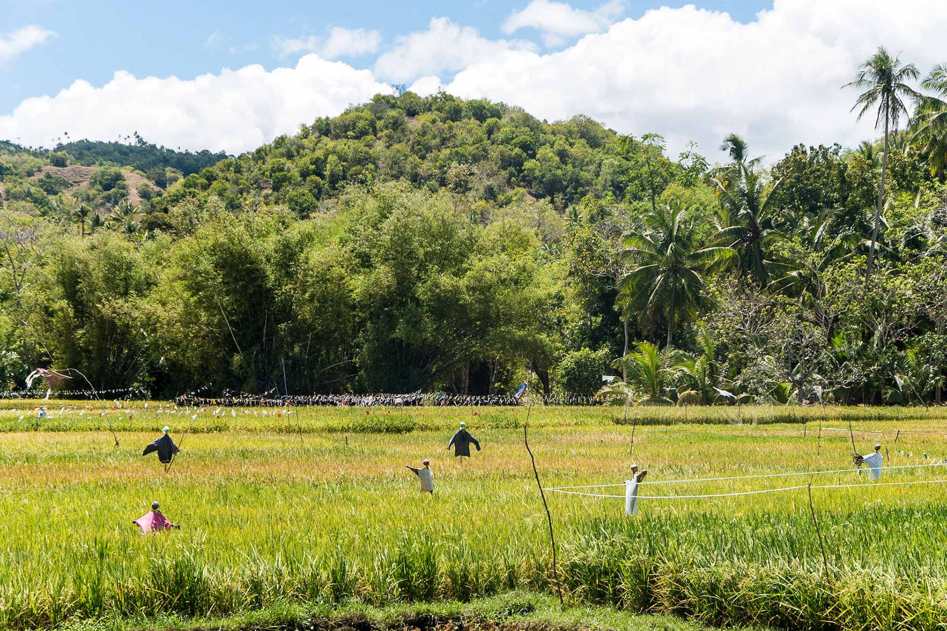 The Philippines, Siquijor Island