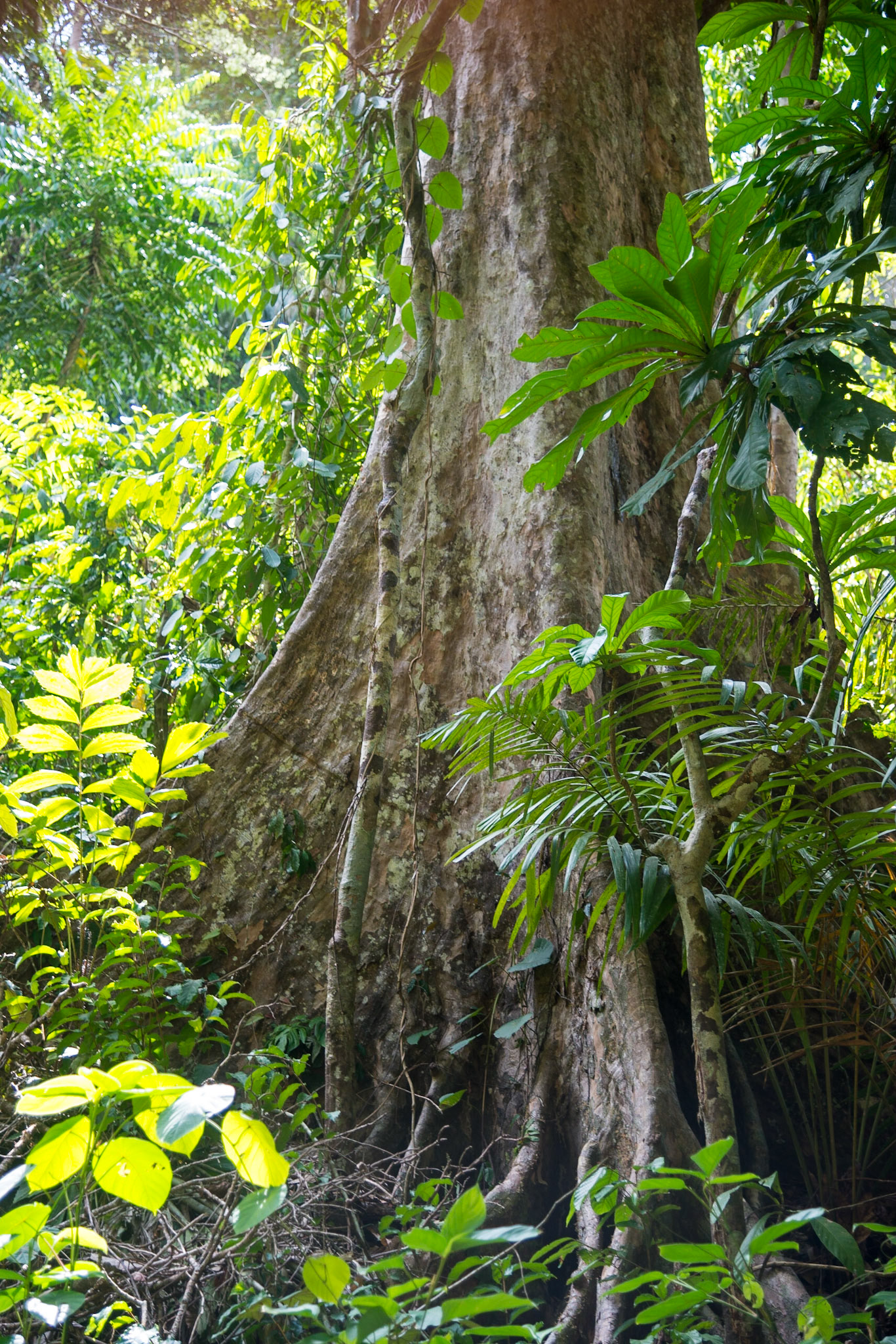 The Philippines, Palawan Island