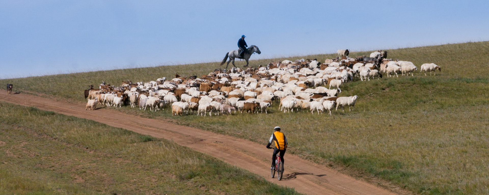 Mongolia, photos from a bicycle tour with Compass Rose Expeditions