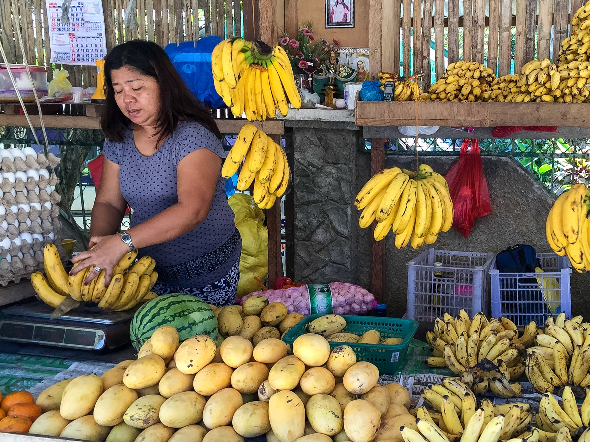 The Philippines, Bohol Island,
