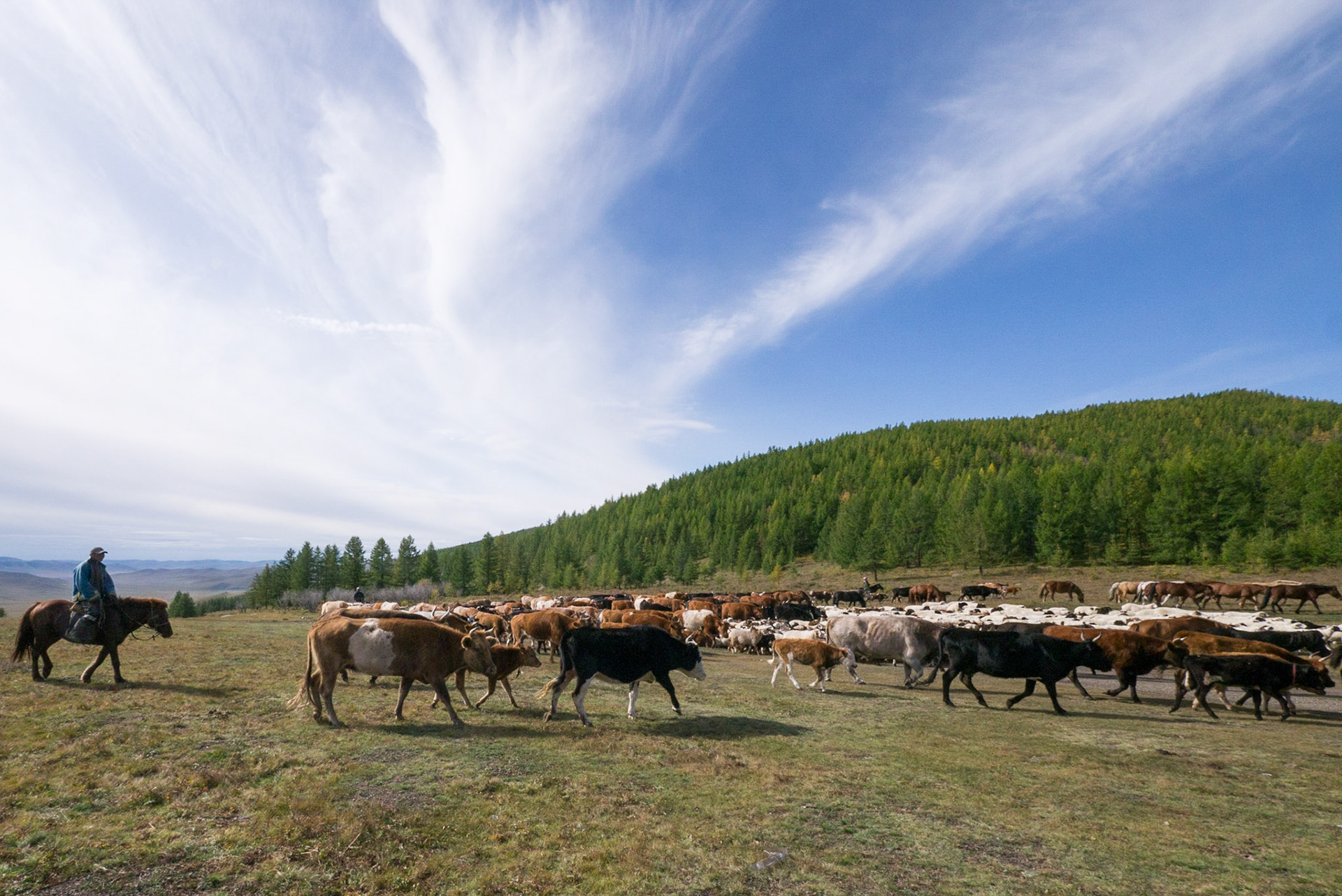 Mongolia, photos from a bicycle tour with Compass Rose Expeditions