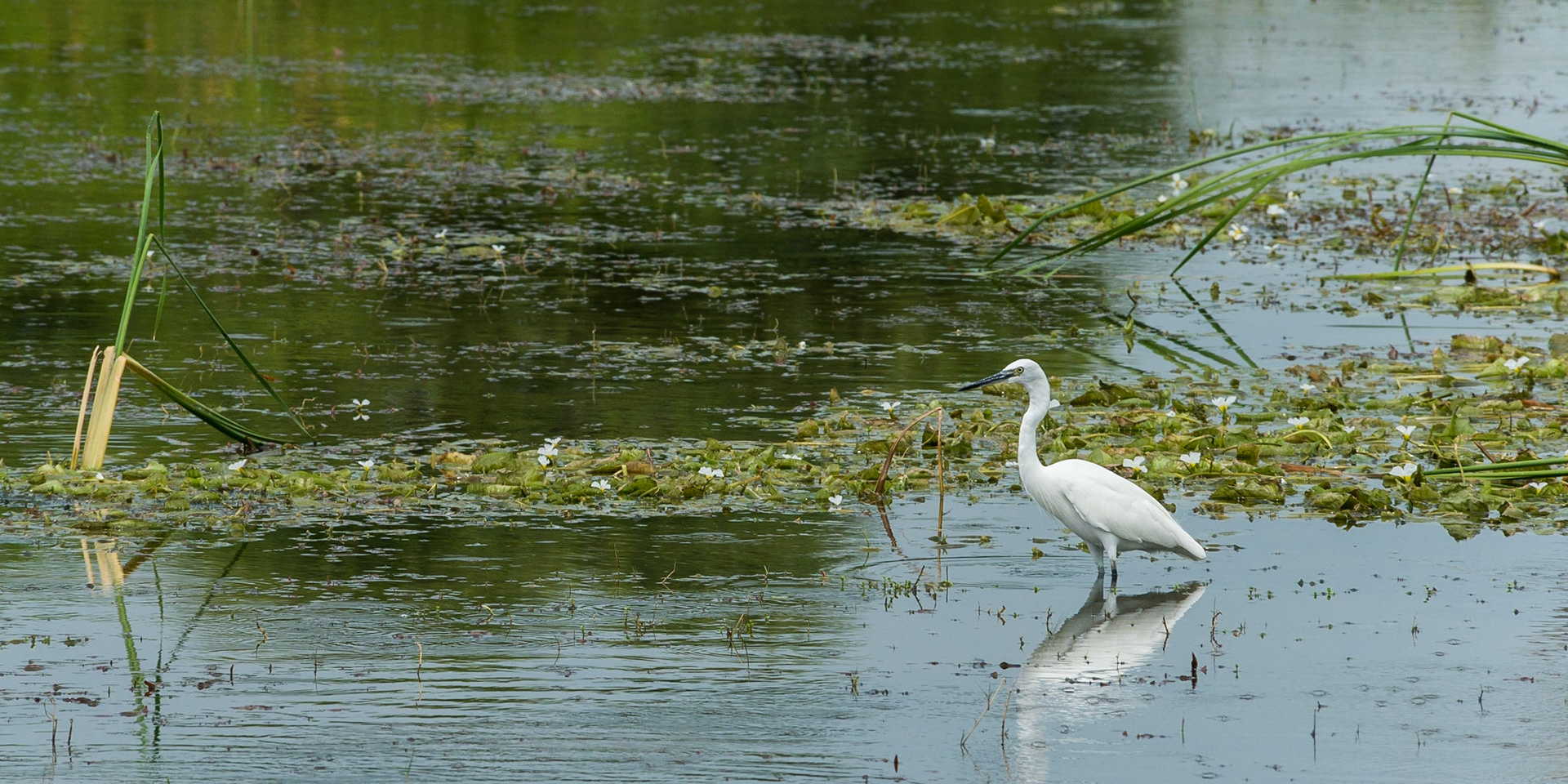 Sri Lanka, Bandala National Park