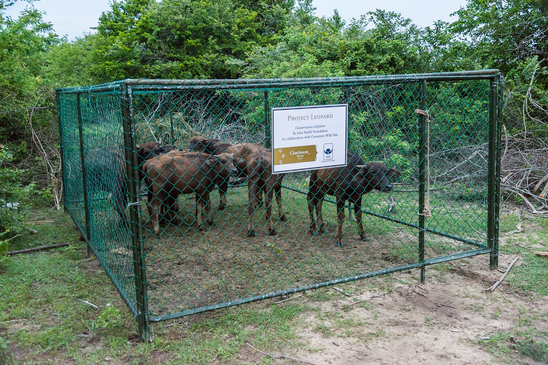 Sri Lanka, Yala National Park