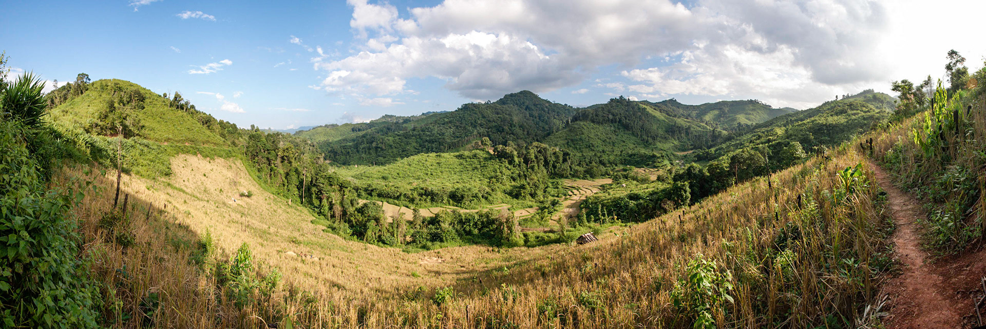 Laos, northern Laos landscape with upland/dry rice growing on the hillsides.