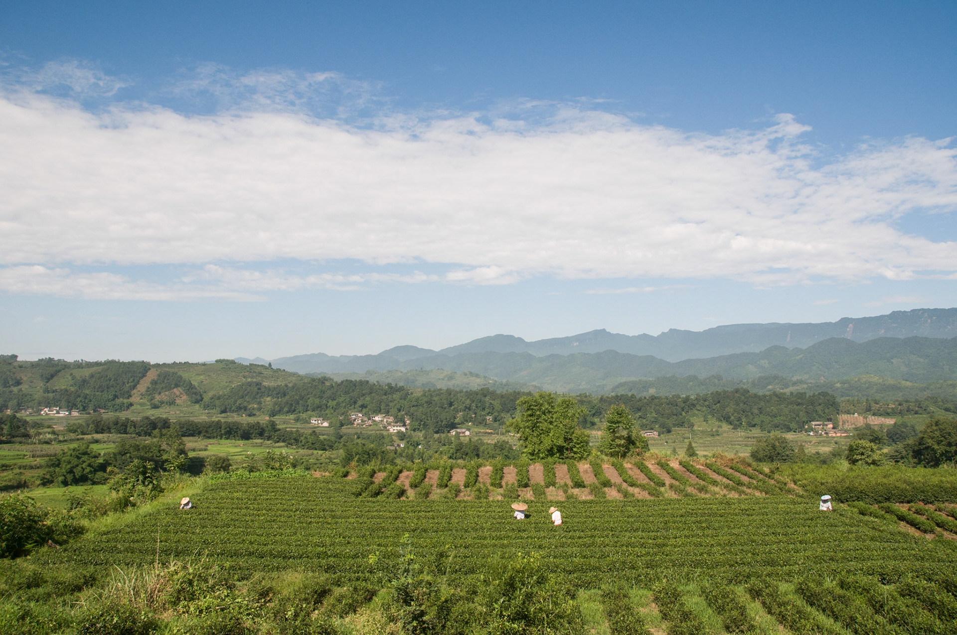 China, South Sicnuan  Province,