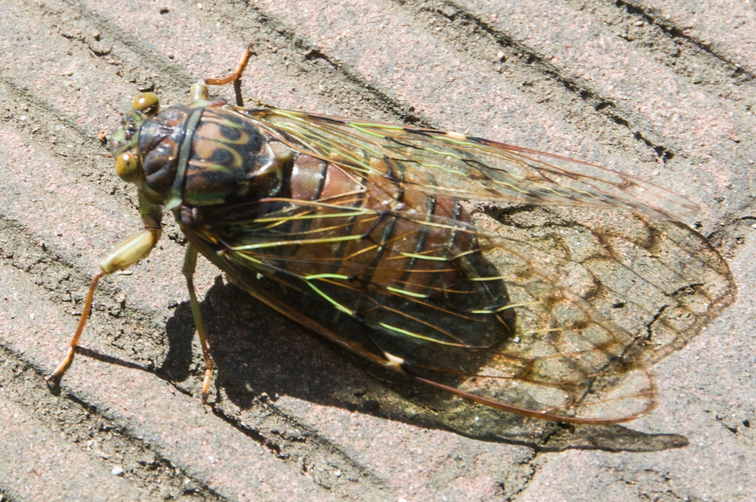 China, South Sicnuan  Province,