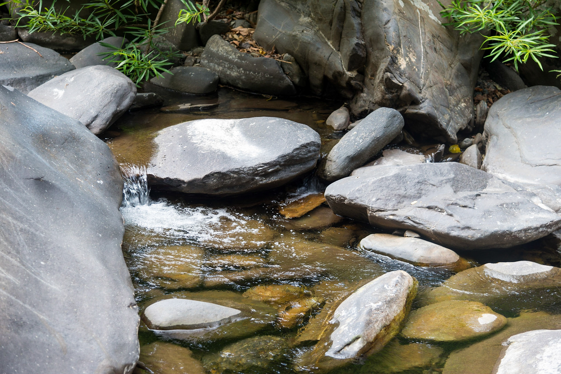 The Philippines, Palawan Island
