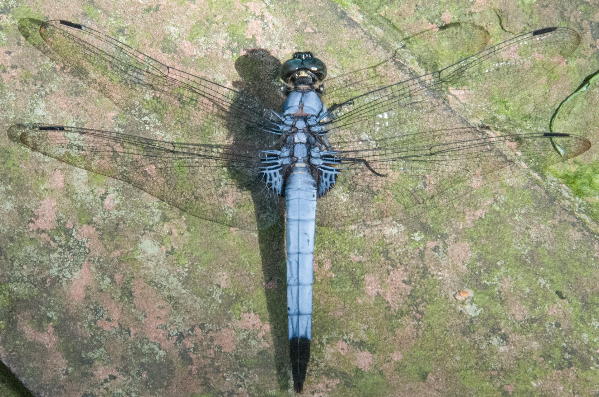 China, South Sicnuan  Province,