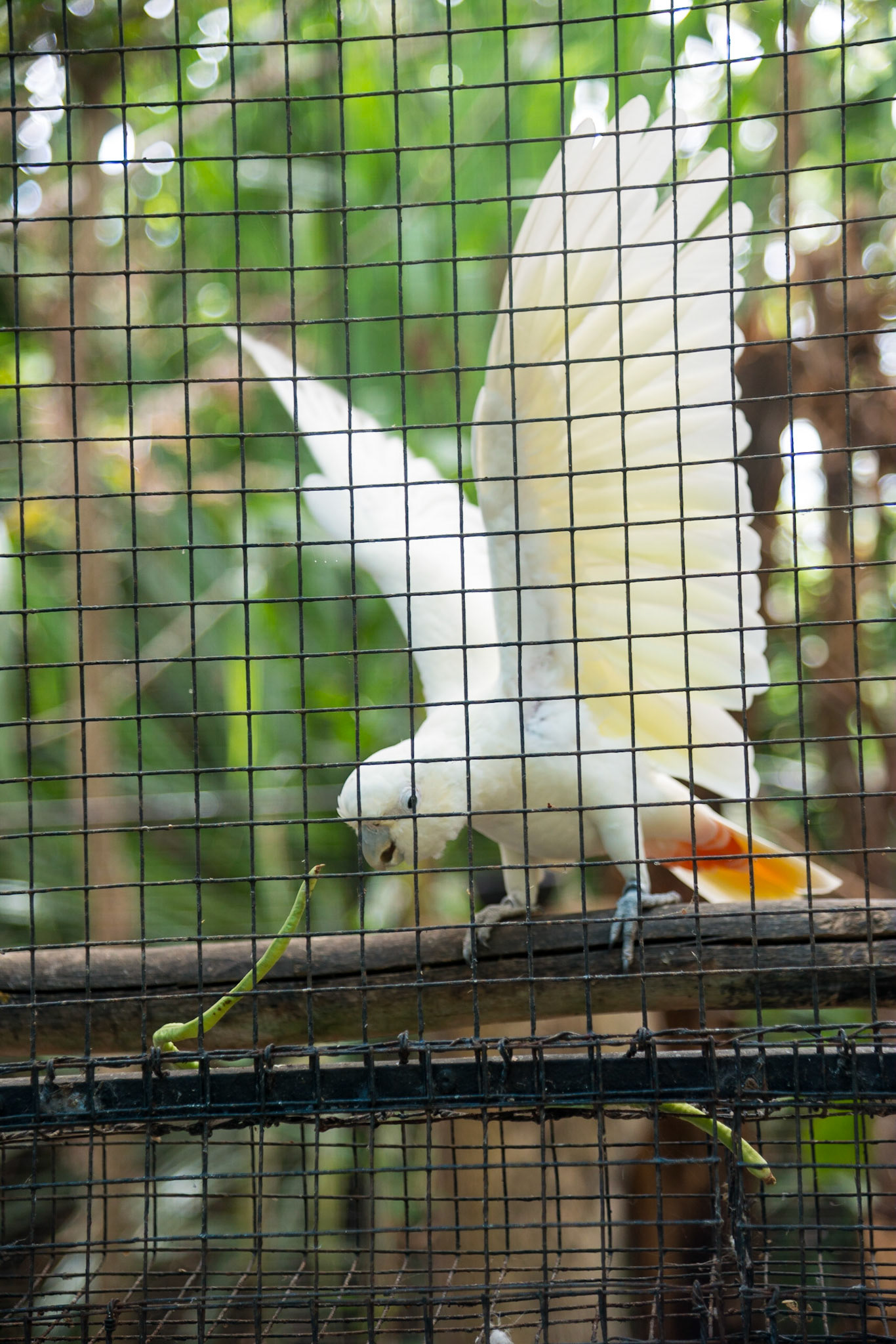 The Philippines, Palawan Island