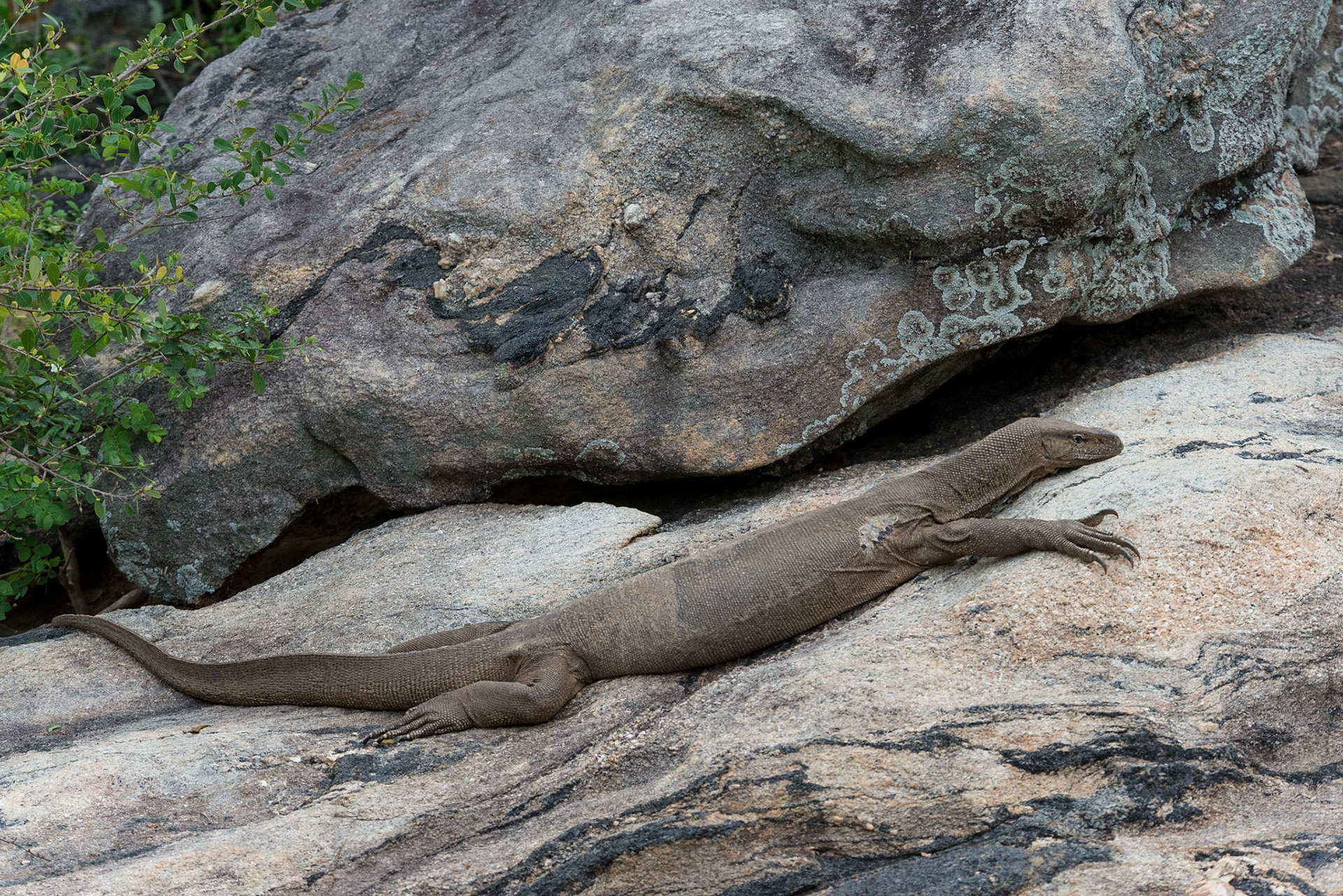 Sri Lanka, Yala National Park