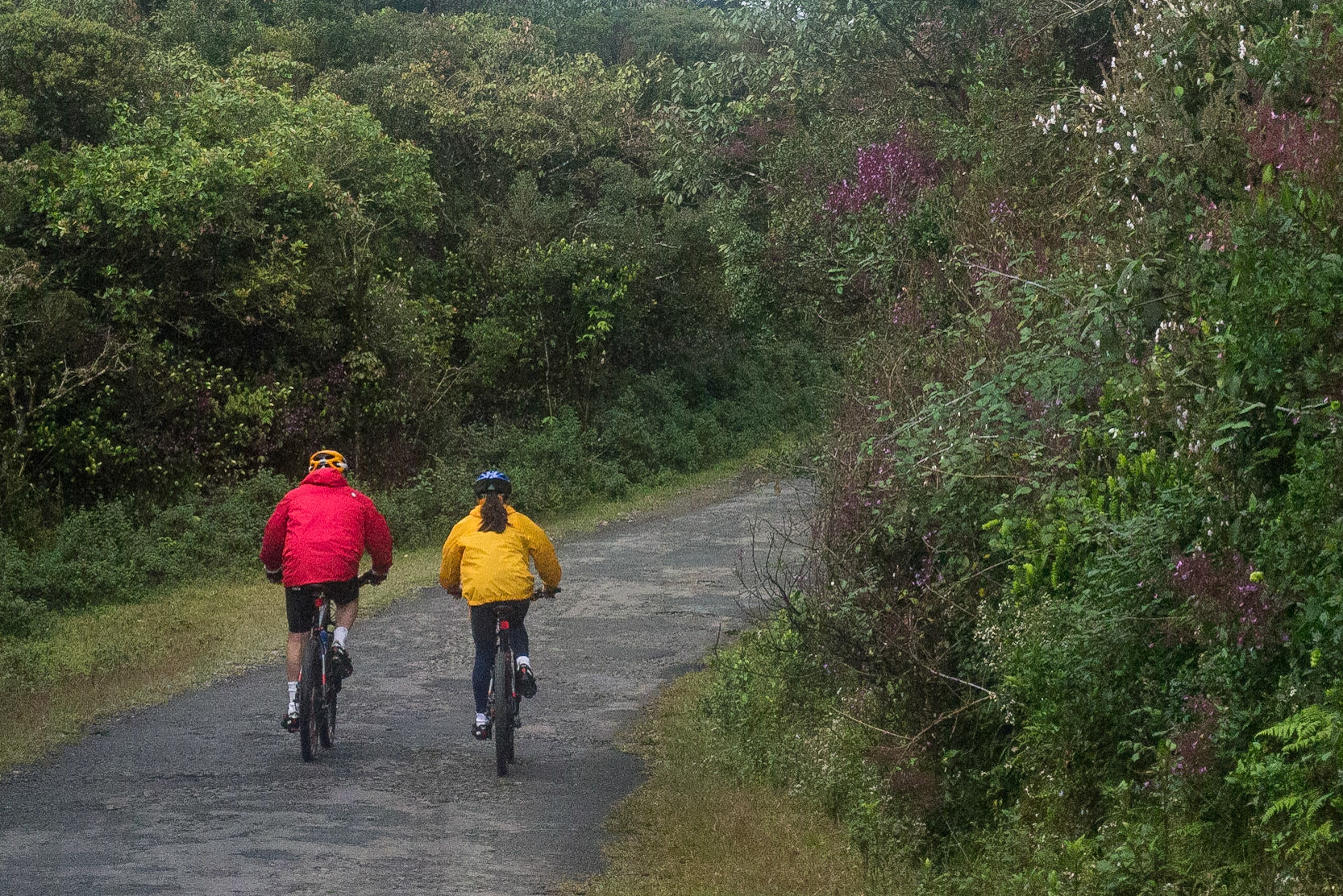 Sri Lanka, Horton Plains