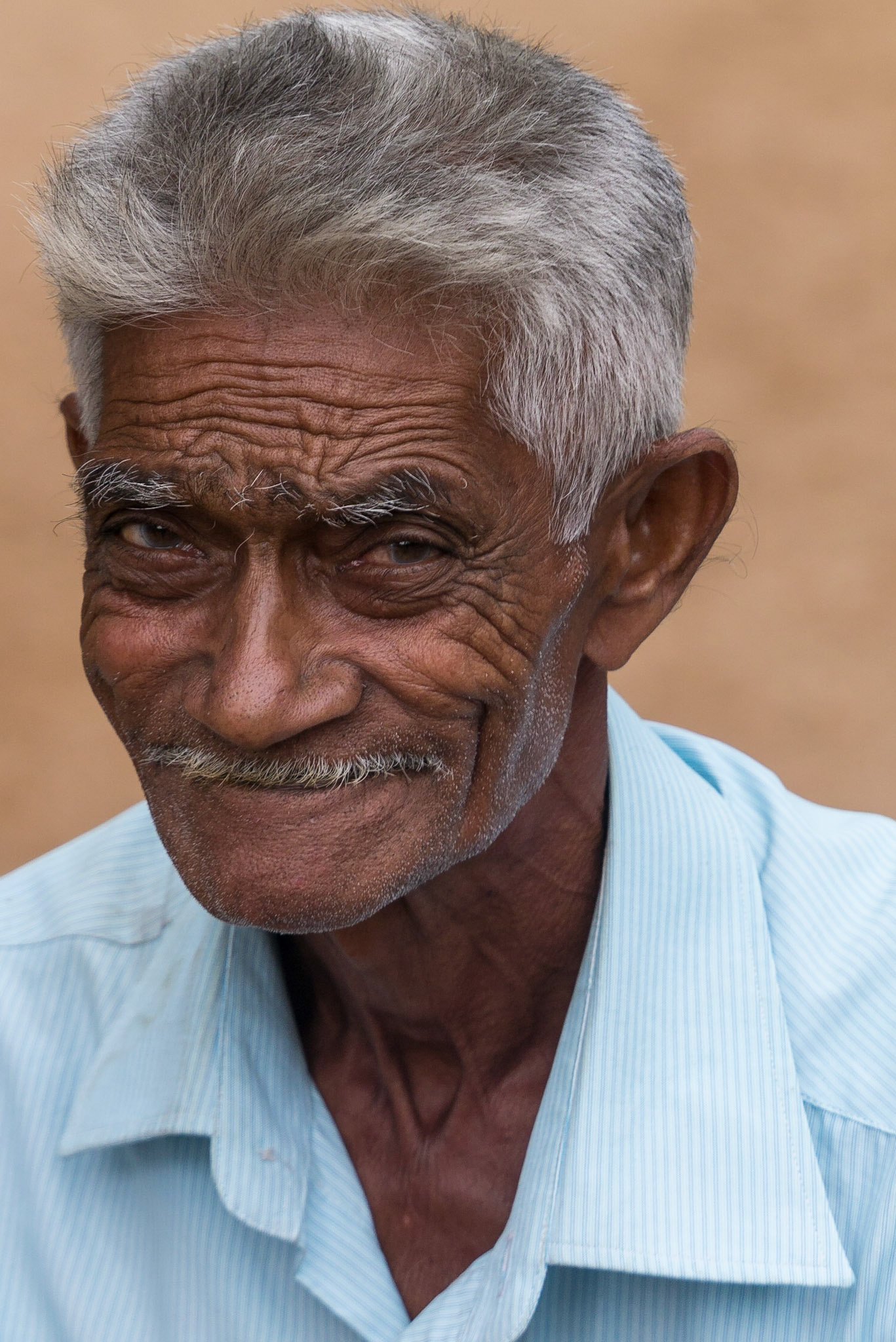 Sri Lanka, at Polonnaruwa,