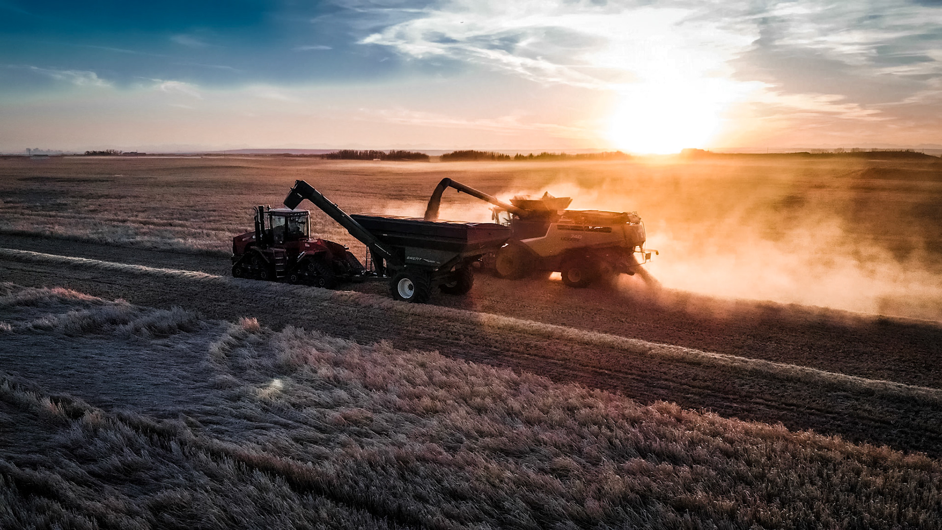 Gonna need a bigger cart!