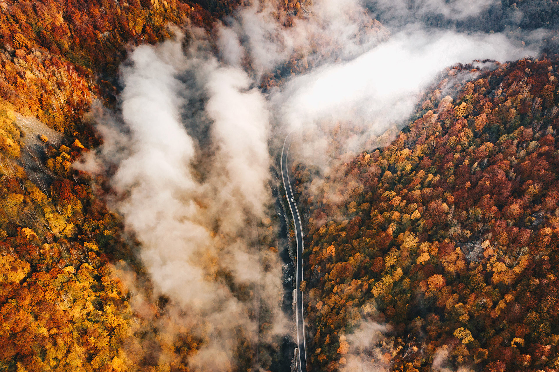 Foggy morning on the road aerial view
