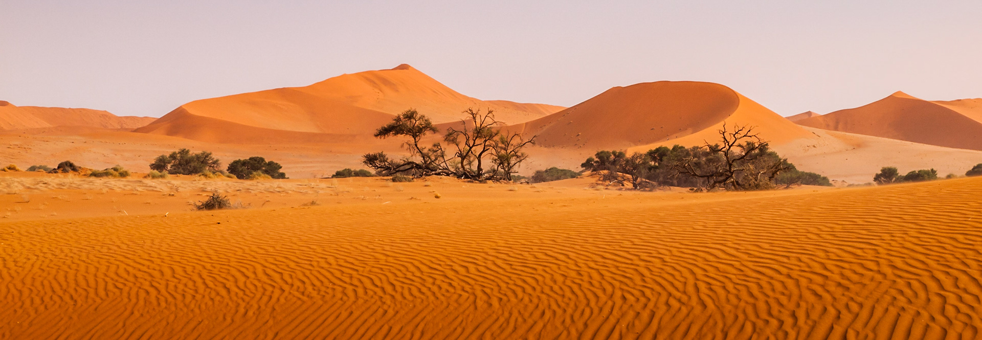 Jižní Afrika