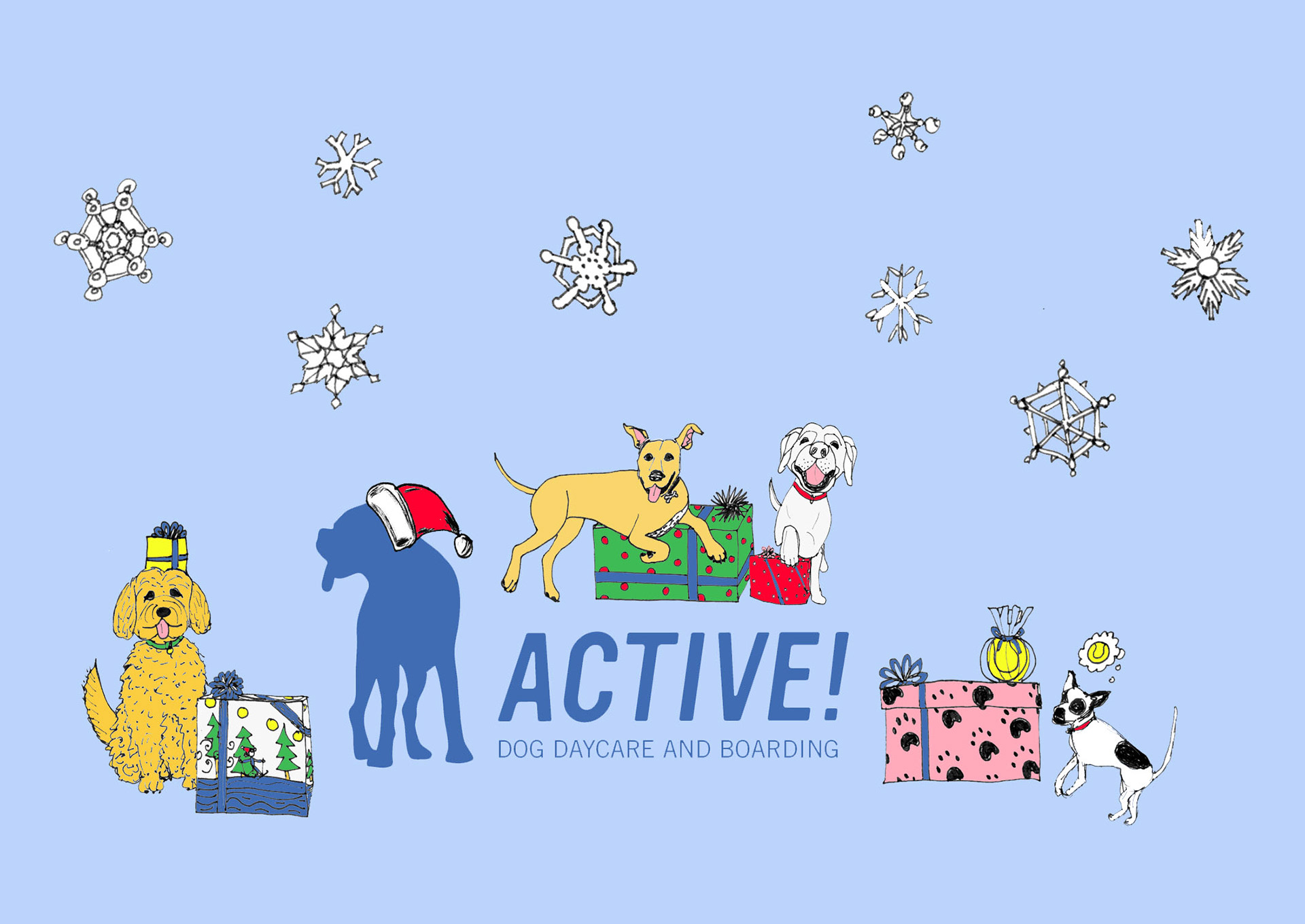 Active! Dog Daycare Holiday Card
