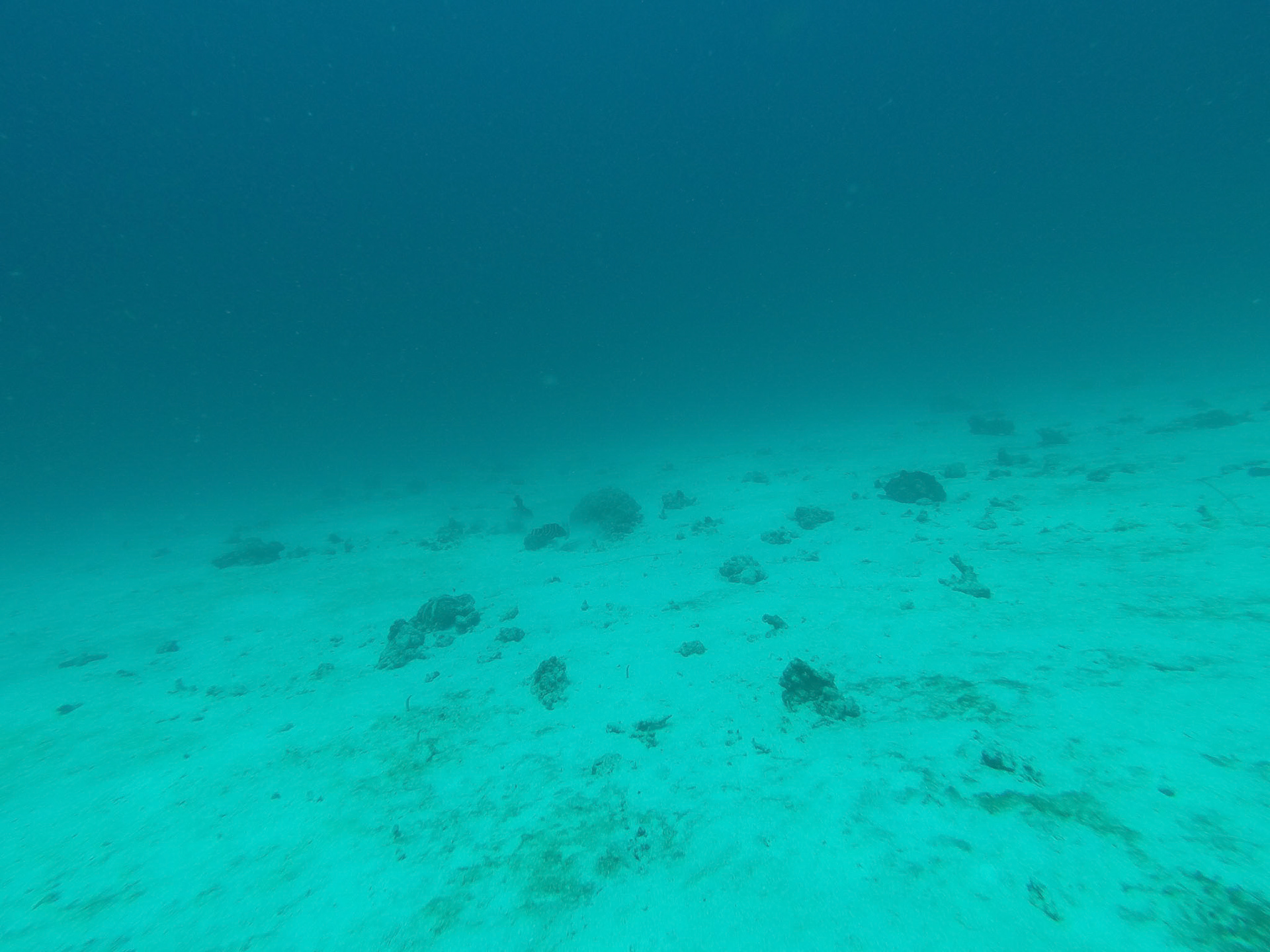 DCIM\100GOPRO\GOPR2605.JPG