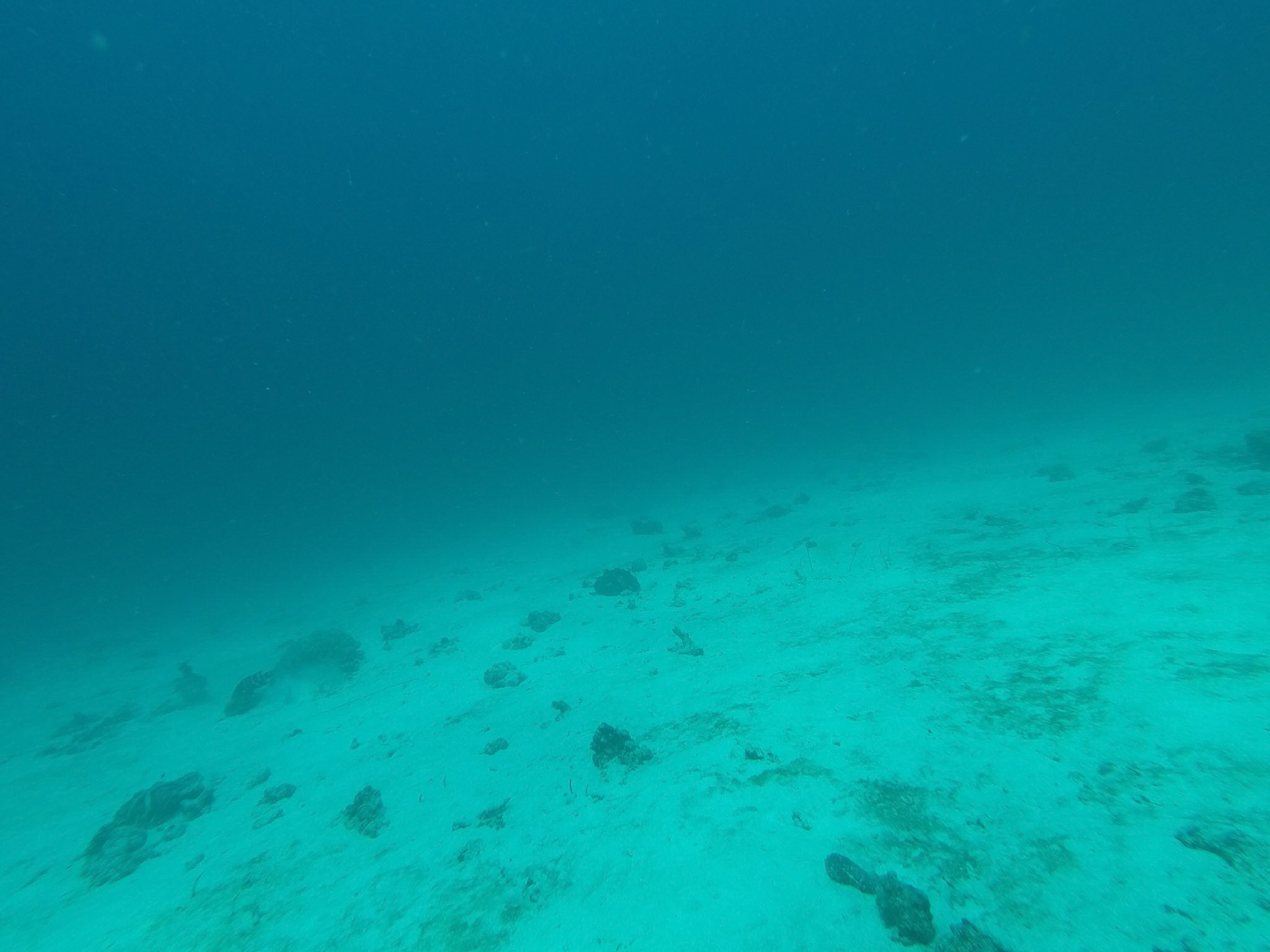DCIM\100GOPRO\GOPR2604.JPG