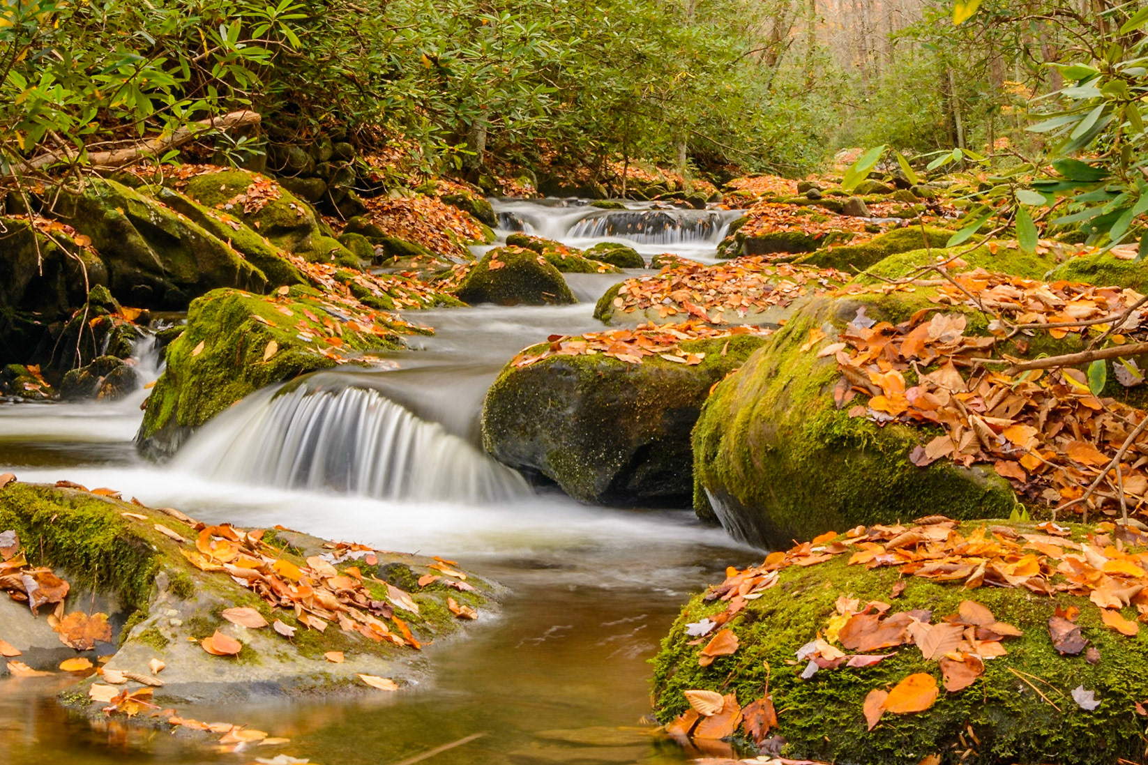 2015 Lynn Camp Prong Cascades - GSM