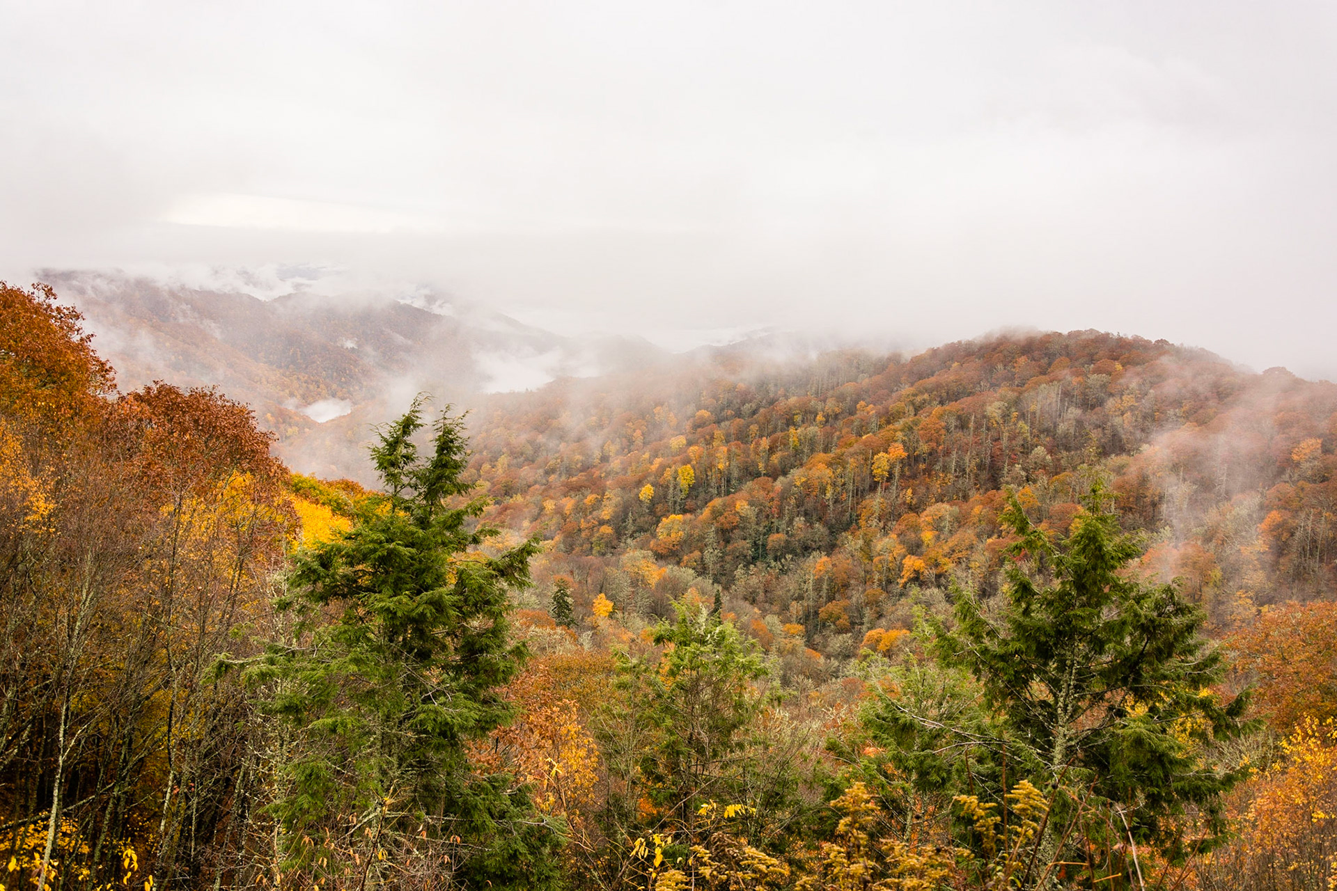 Newfound Gap Road