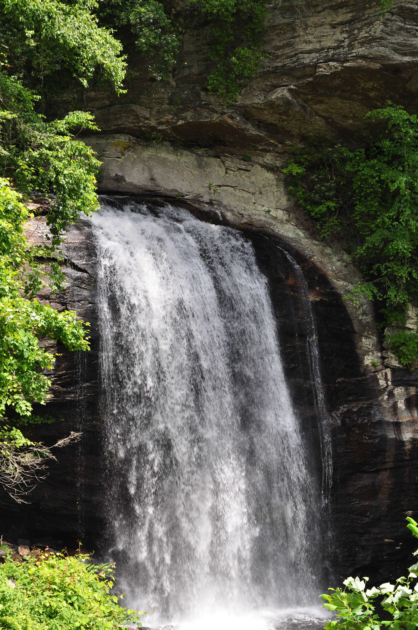 Looking Glass Falls
