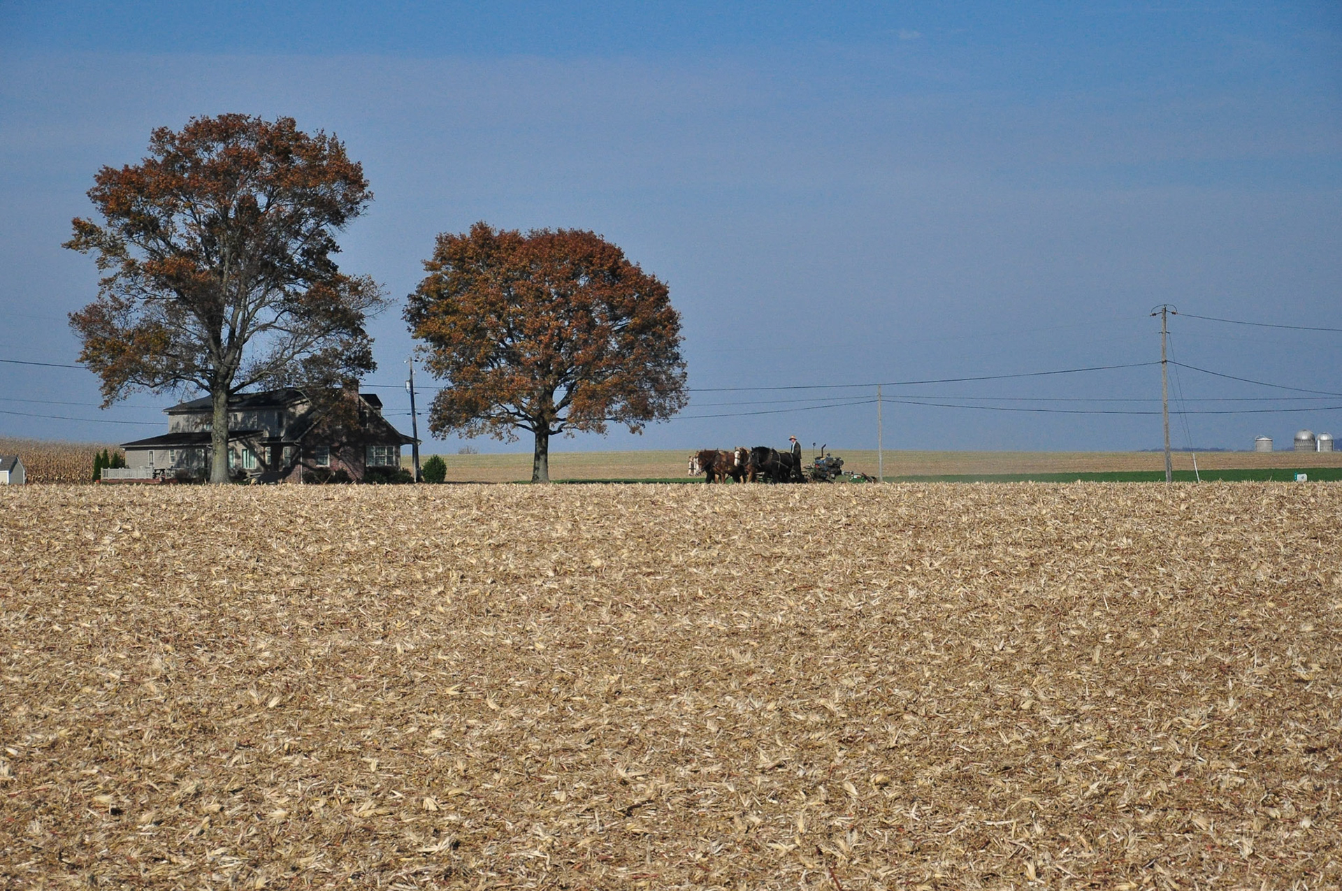 An Amish man uses a team of horses to pull a diesel power across his field.

11/2013