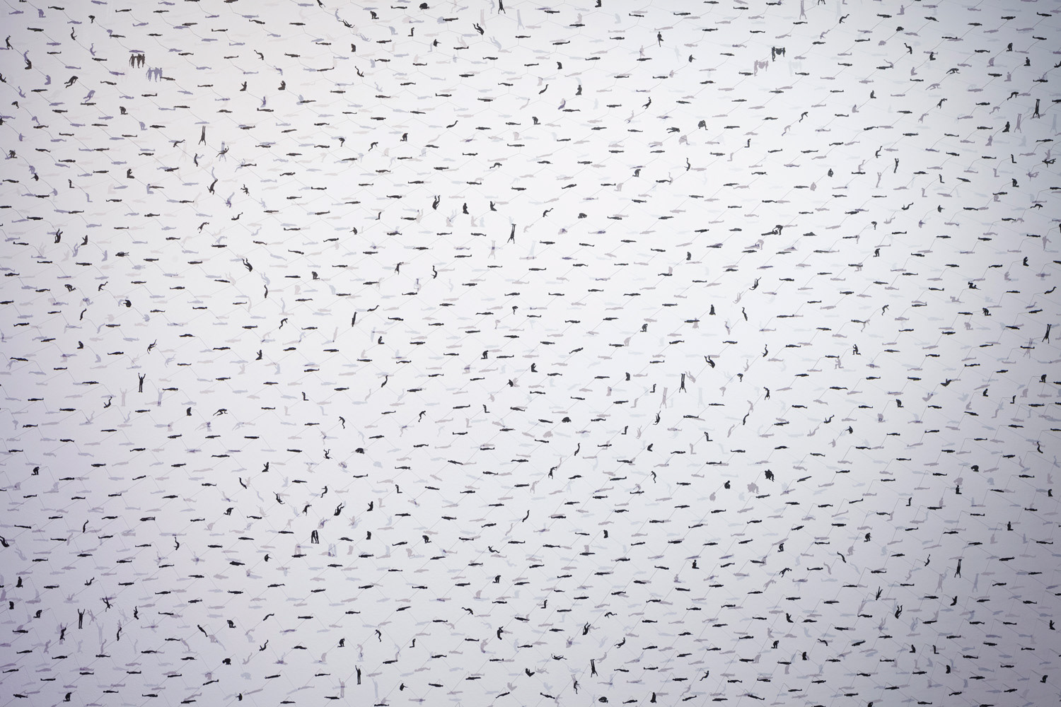 State (2013), paper, pins, 240cm diameter