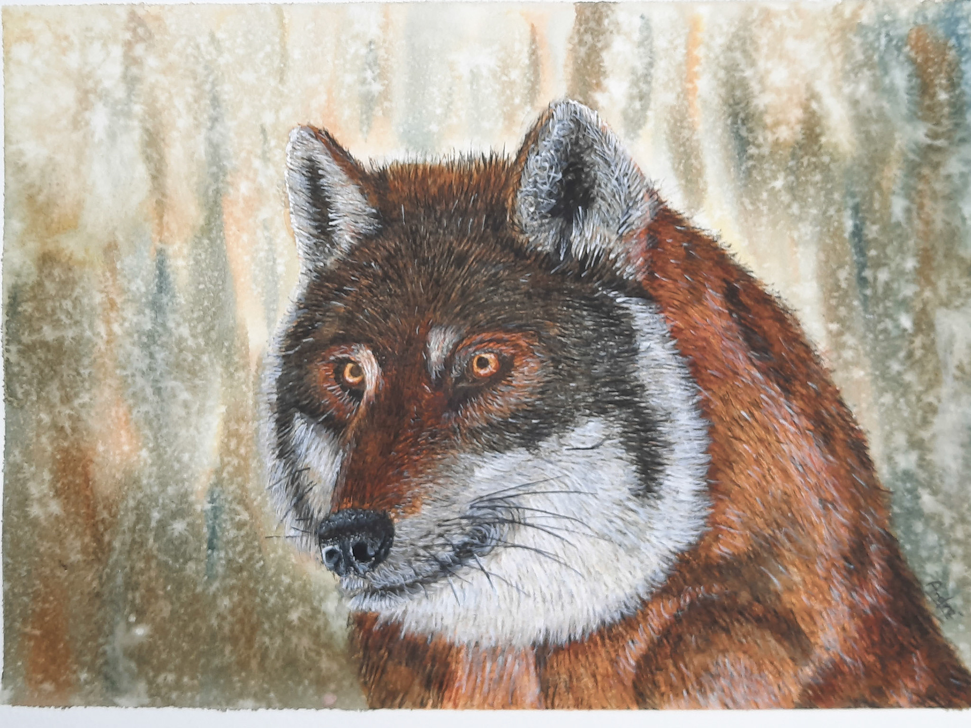 Wolf A4 (tutorial by @thedevonartist)