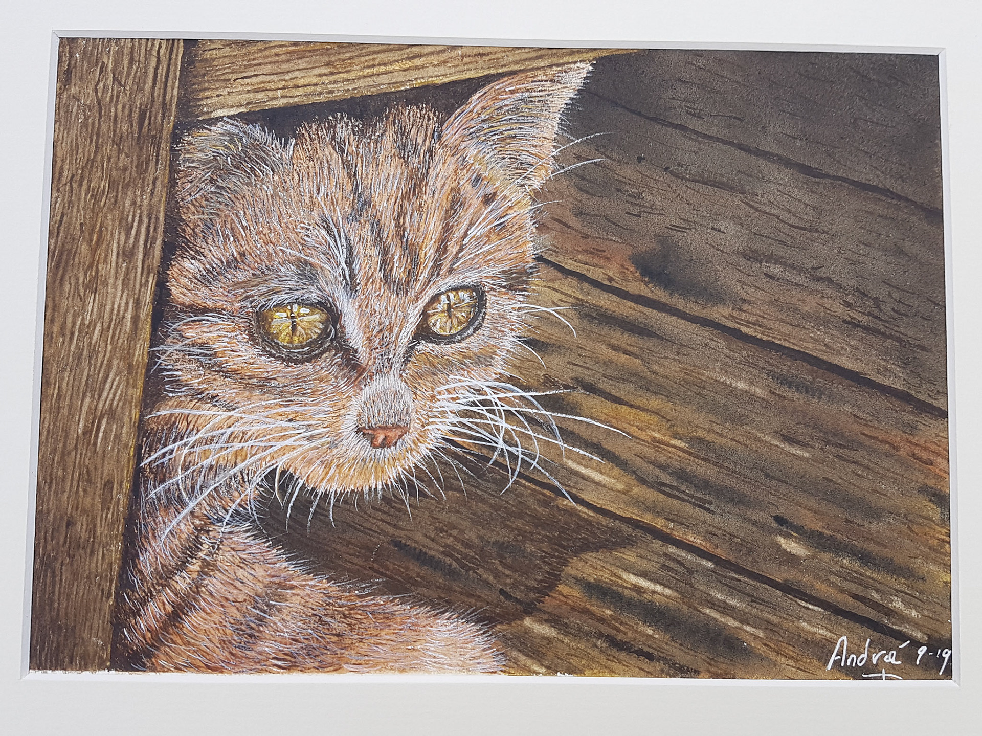 Tabby Cat A4 (Tutorial by @thedevonartist)