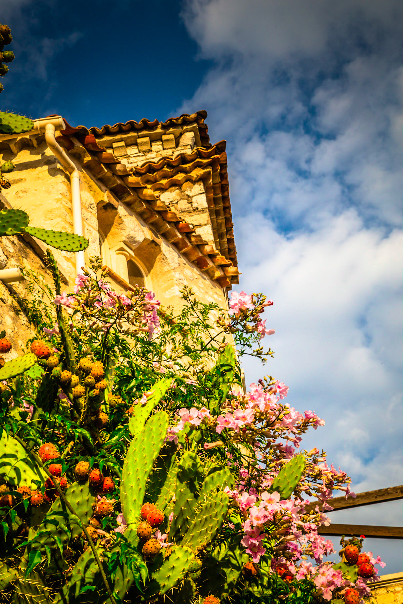 Photography of canada