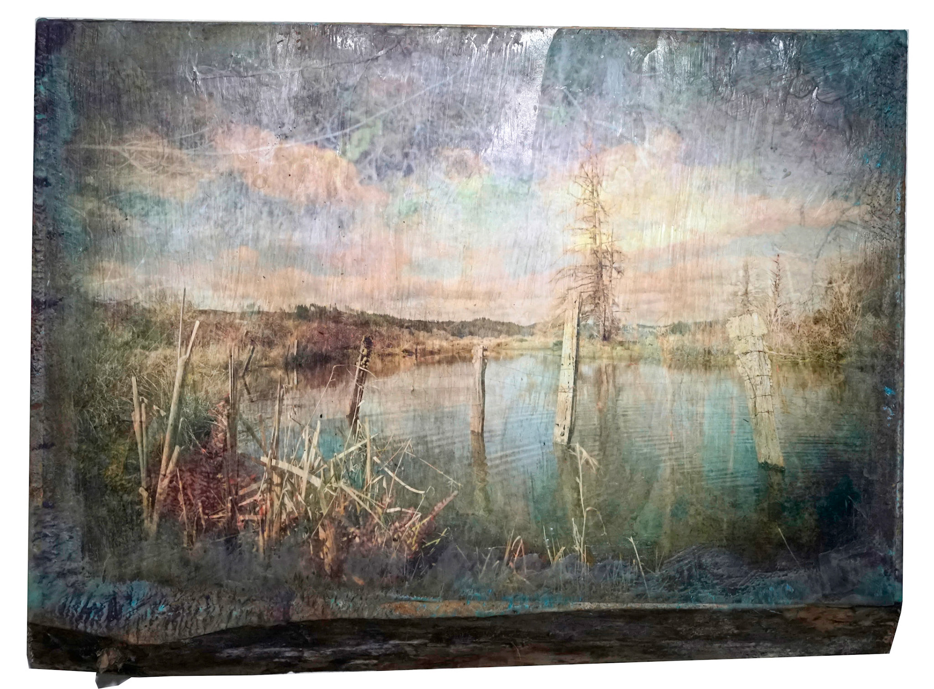 dune grass 4