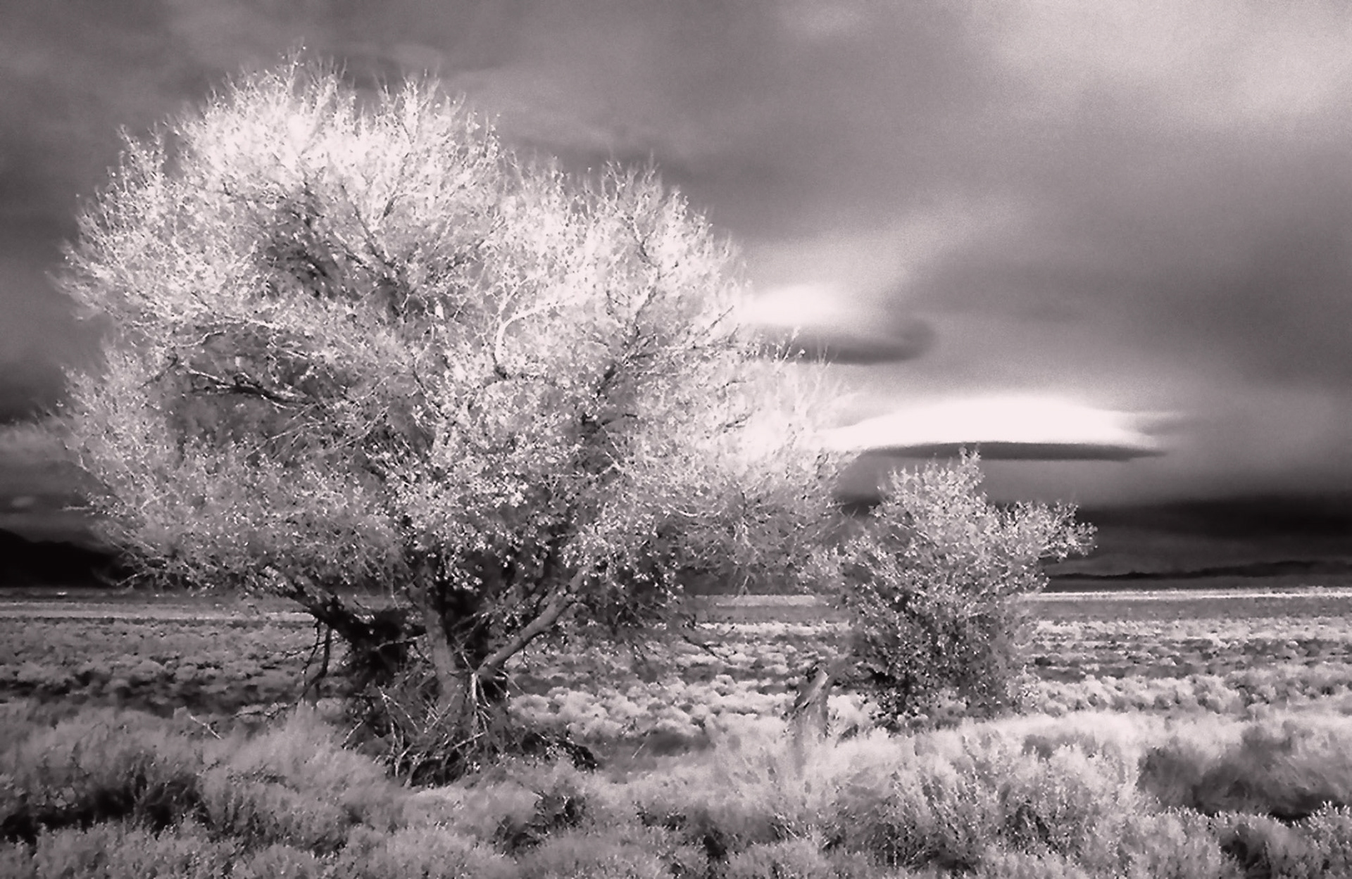a death in the desert 7