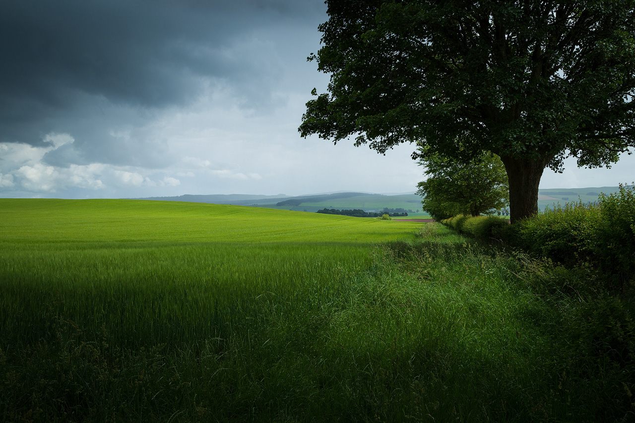 Storm on Strathmore, Angus