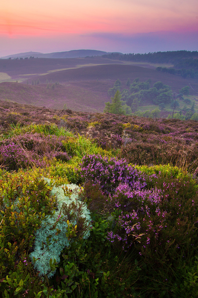 Sunset,  Auchterhouse Hill