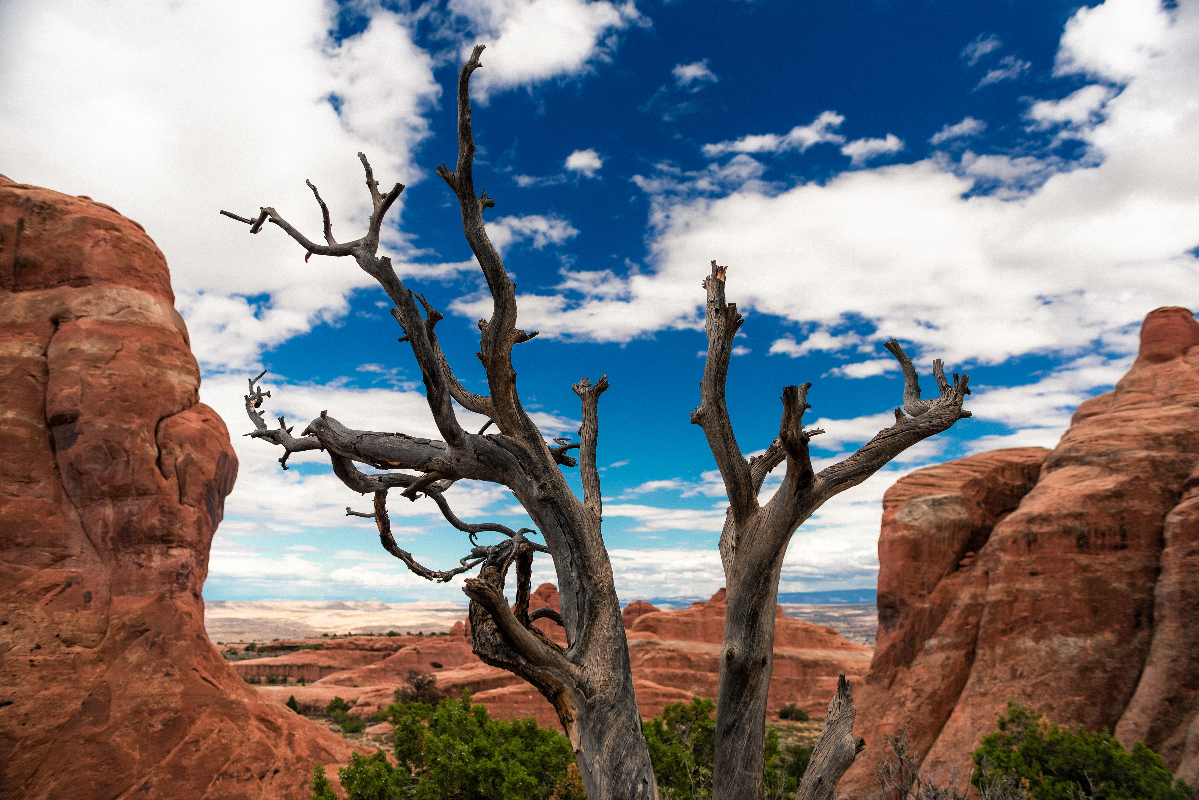 Devils Garden in Arches National Park