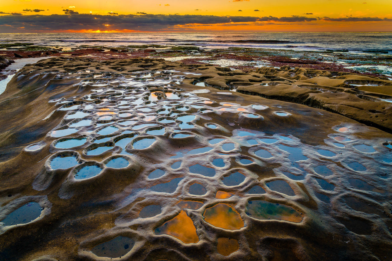 Hospital Reef 5